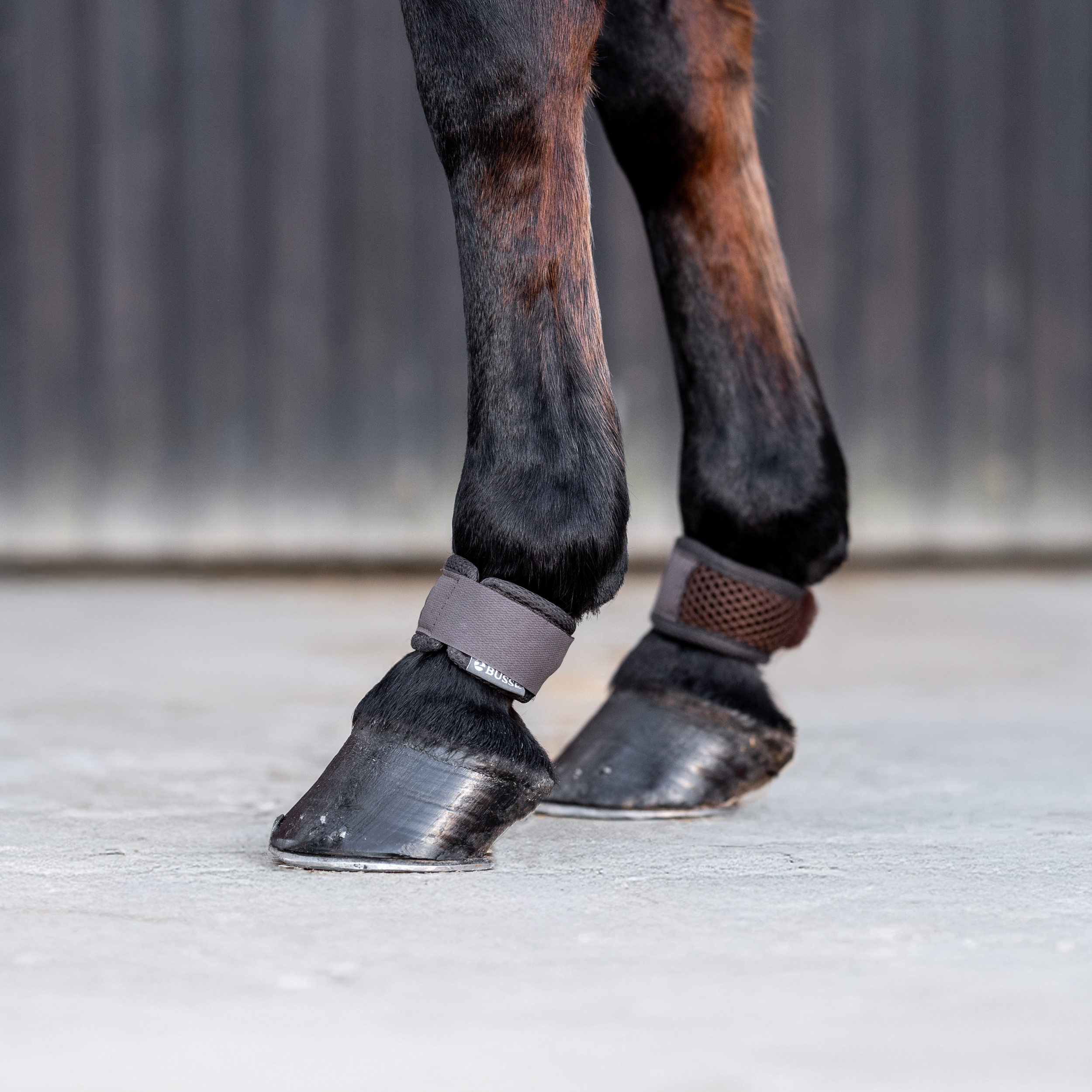 Fetlock protector 3D AIR EFFECT
