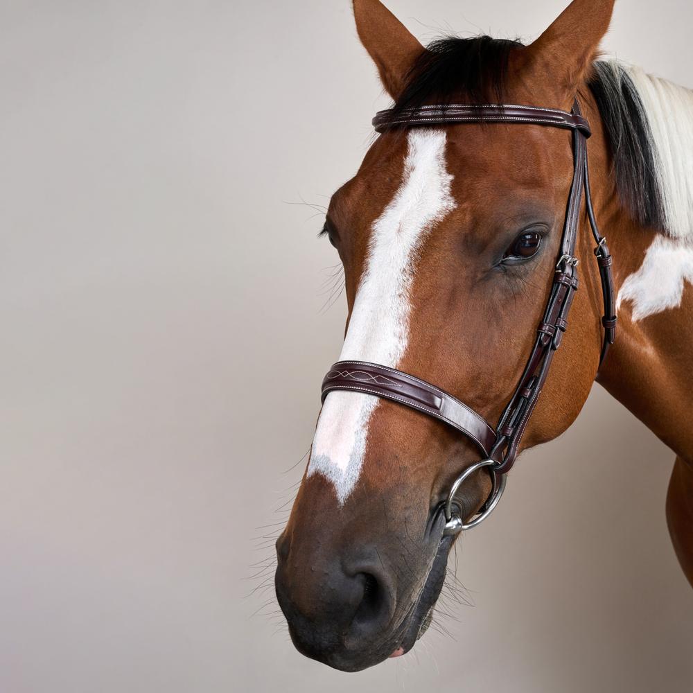 Cavesson Hunter Trense mit englischem Reithalfter US