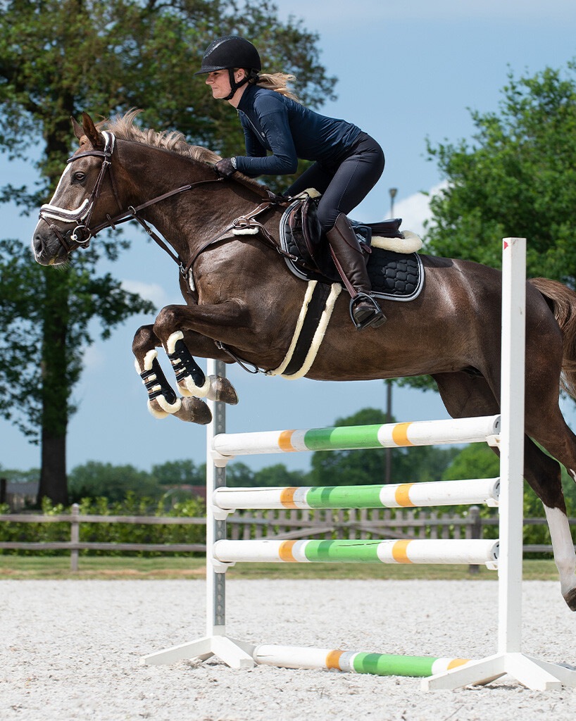 Versatility belt Ontario