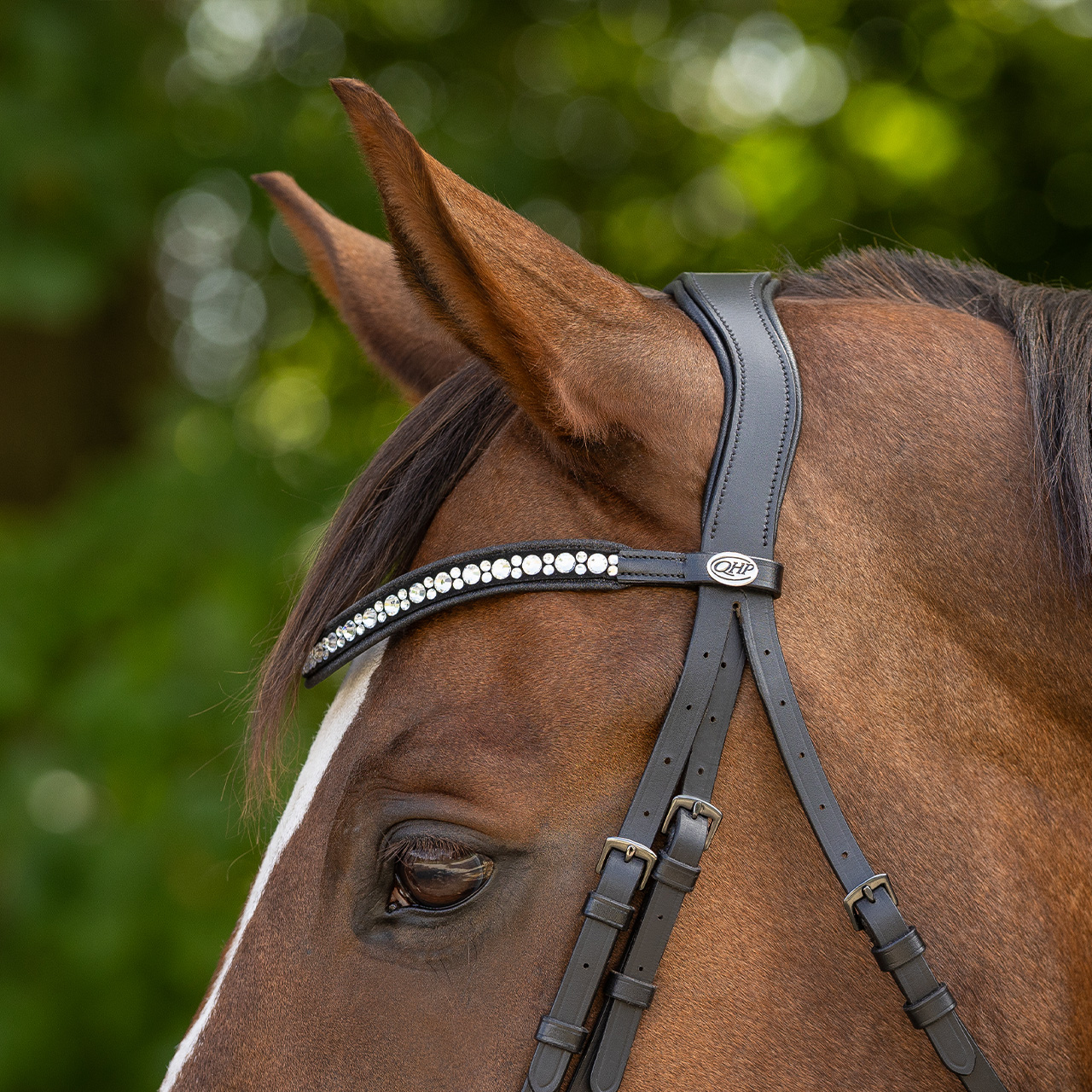Snaffle Orlando