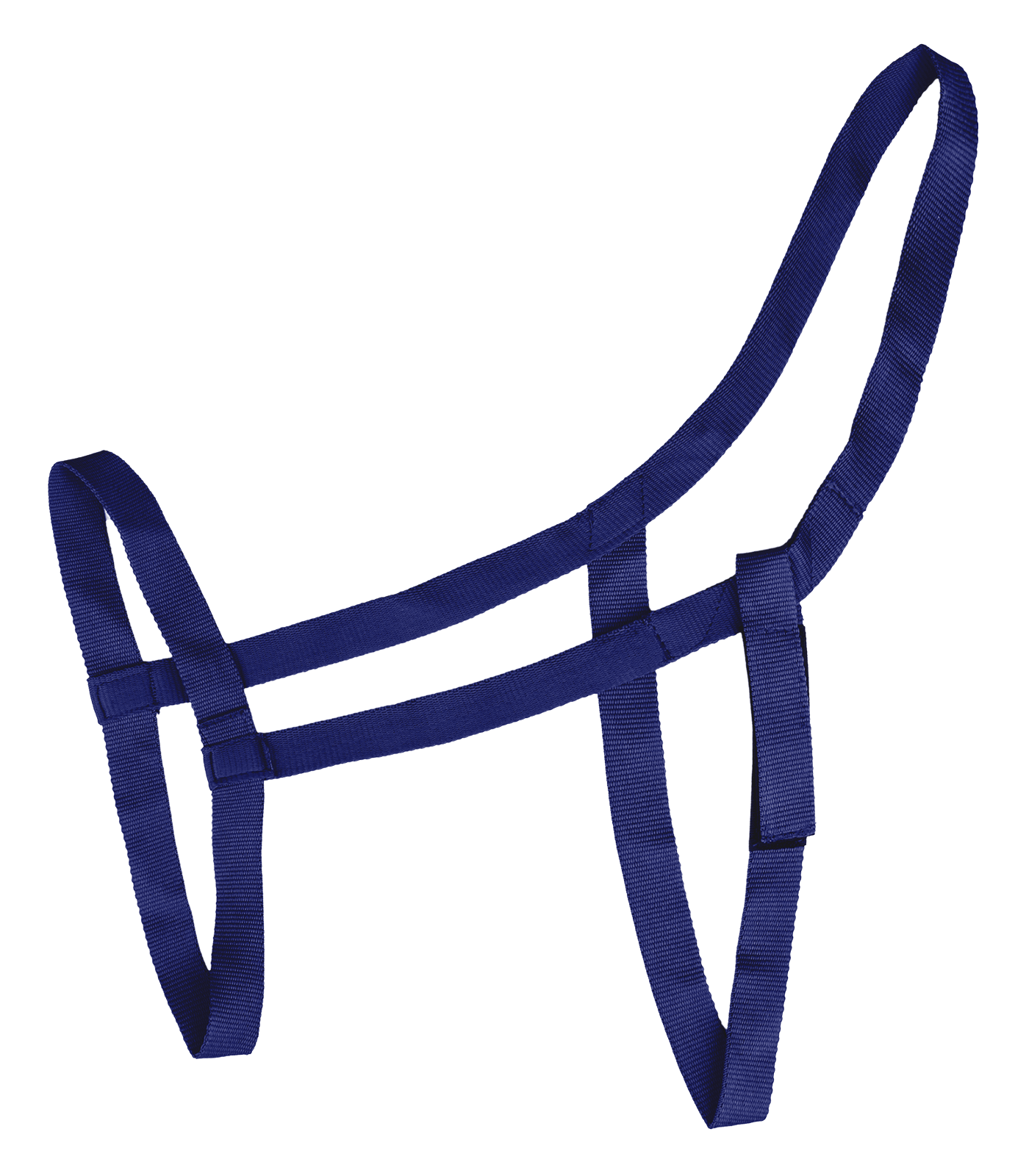 Pasture halter