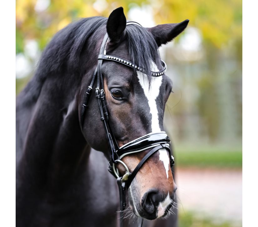 Dressurtrense "Charlotte" schwed.-komb. Dressurtrense "Charlotte" schwed.-komb.