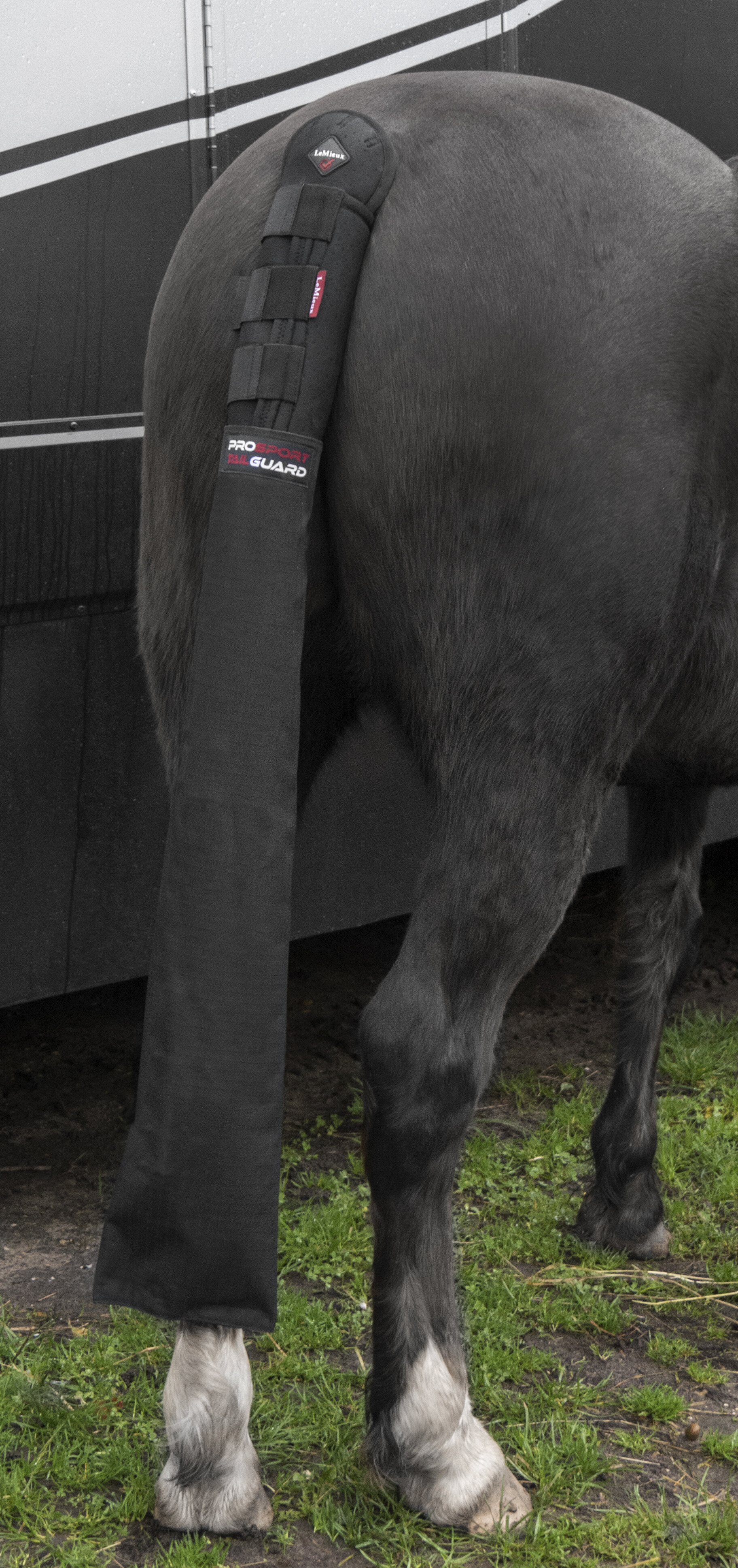 Tail guard with integrated pocket
