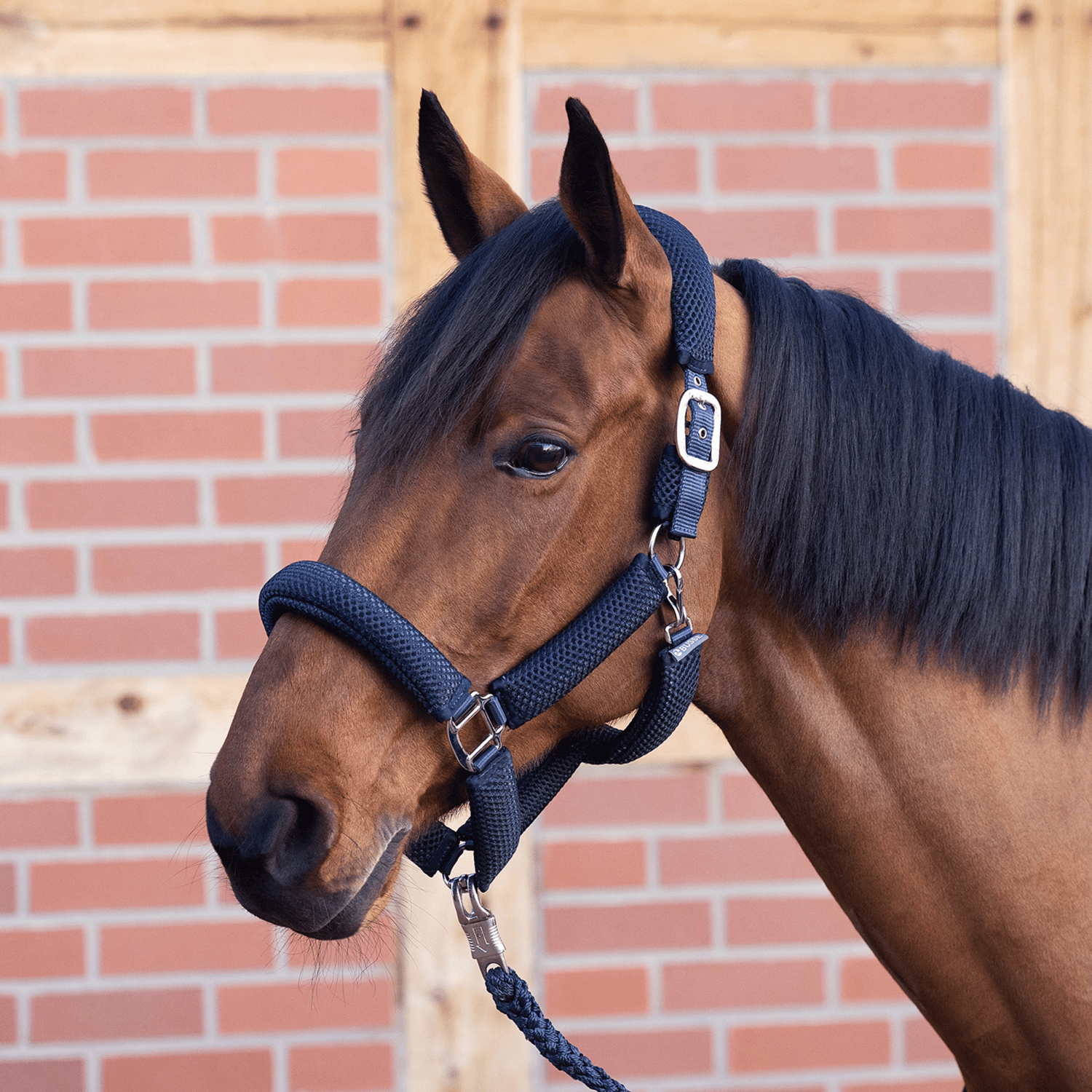 Halfter 3D Air Effect Plus