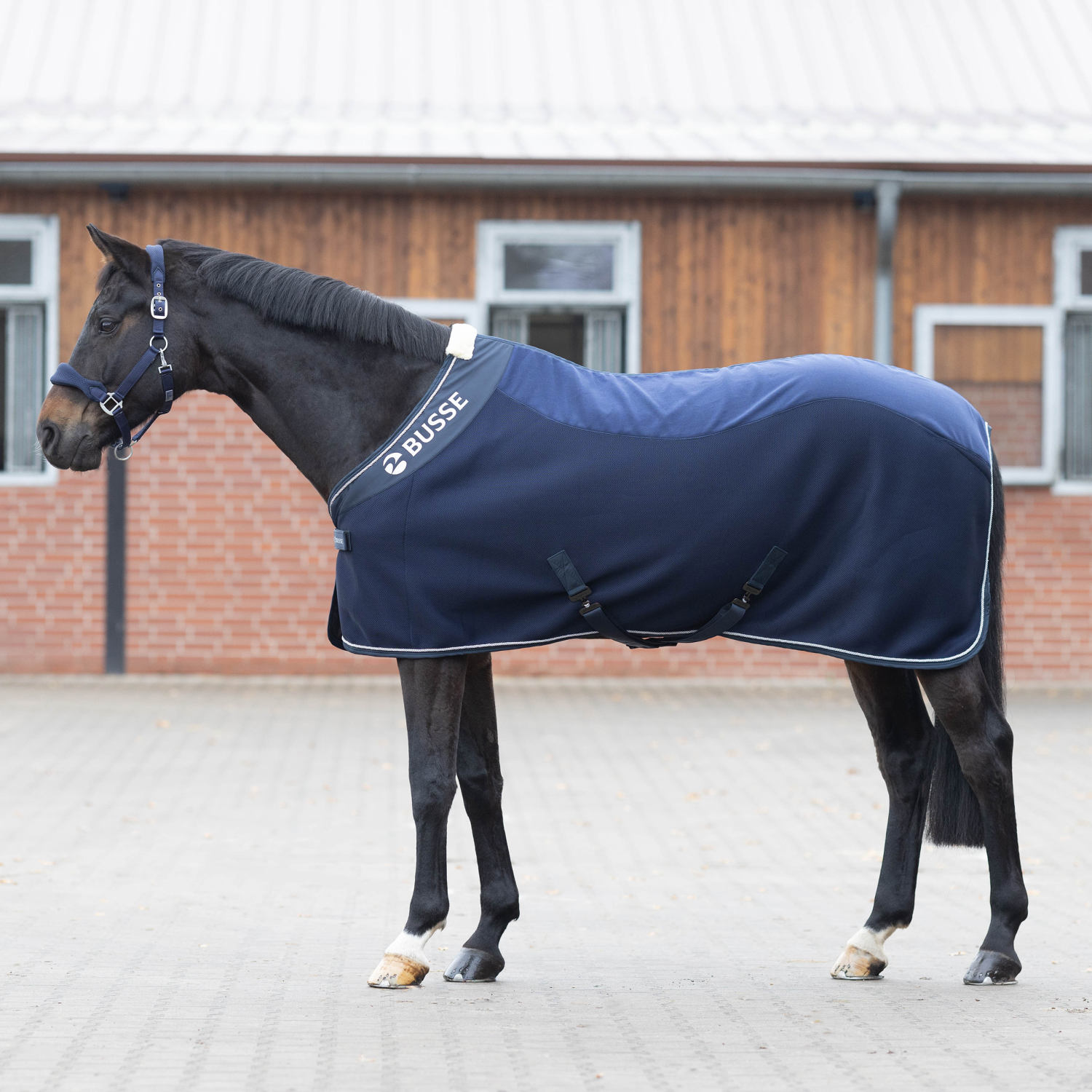 3D Air Fleece Premium sweat rug