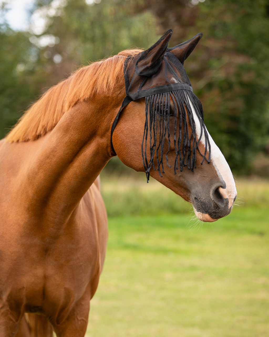 Fly fringes with ears
