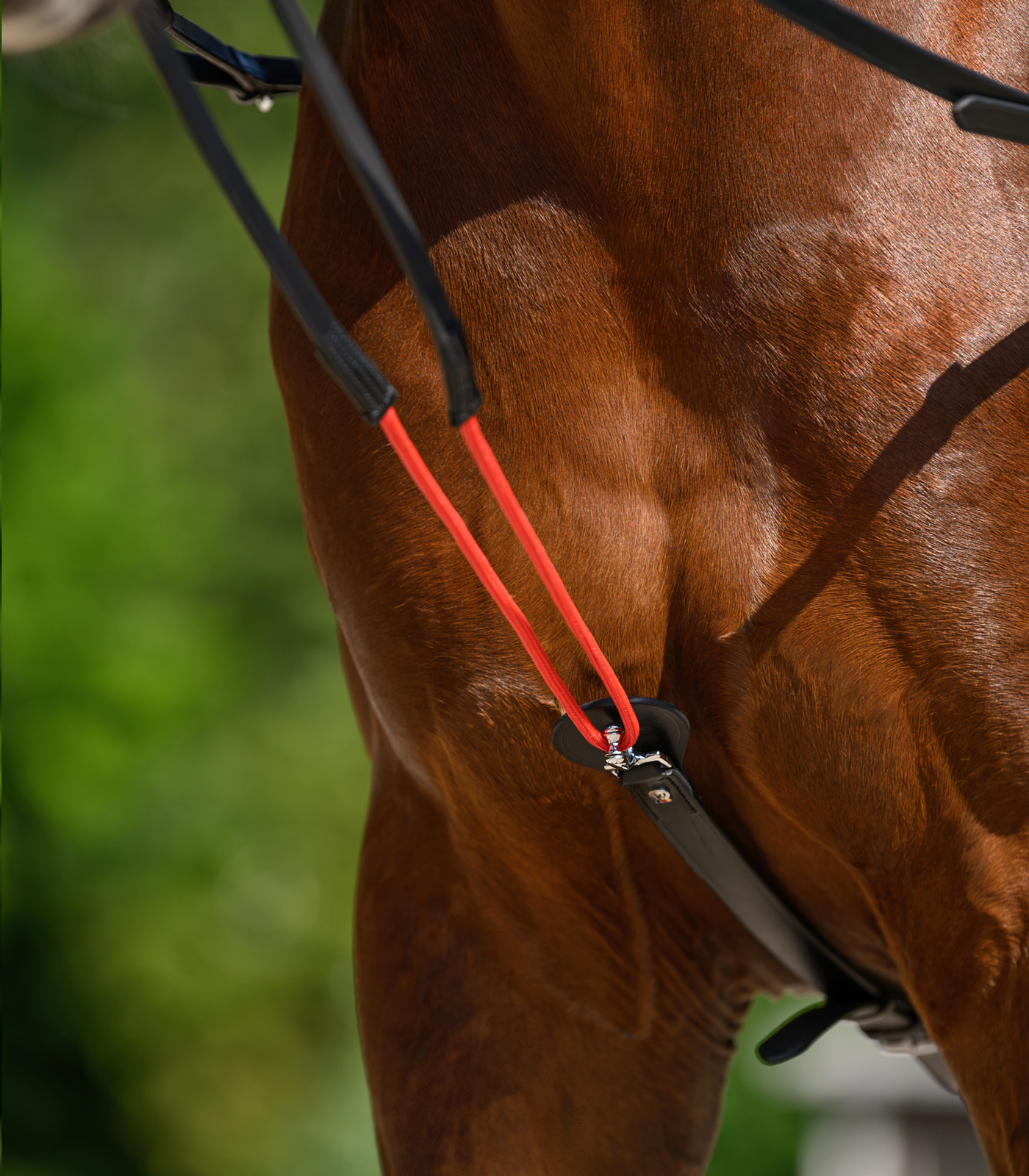 Triangular reins W-trainRein
