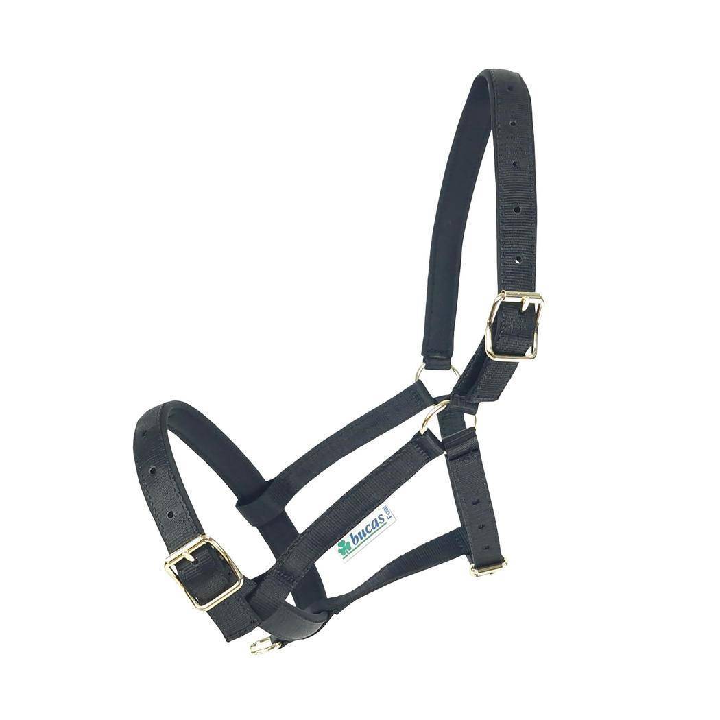 Halfter Dublin in Black/Black