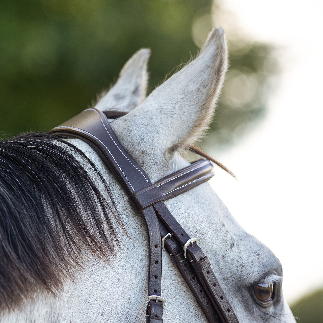 Snaffle with luxury stitching