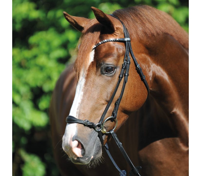 Snaffle "Fiala" hann.