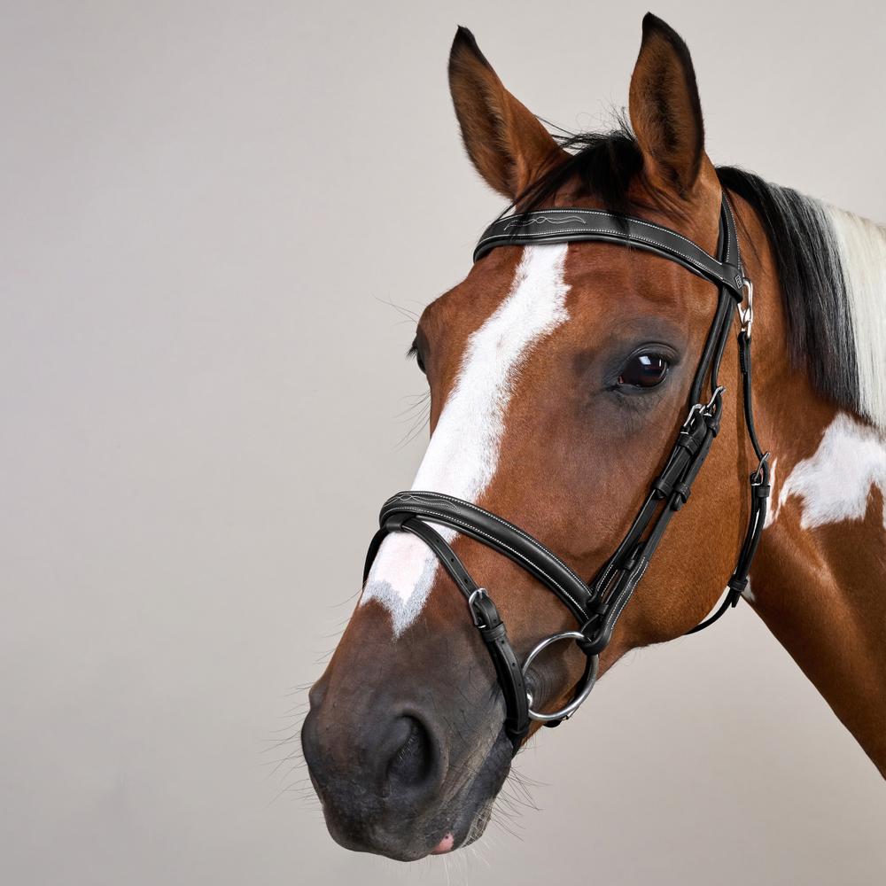Trense mit kombiniertem Reithalfter und Karabiner WO