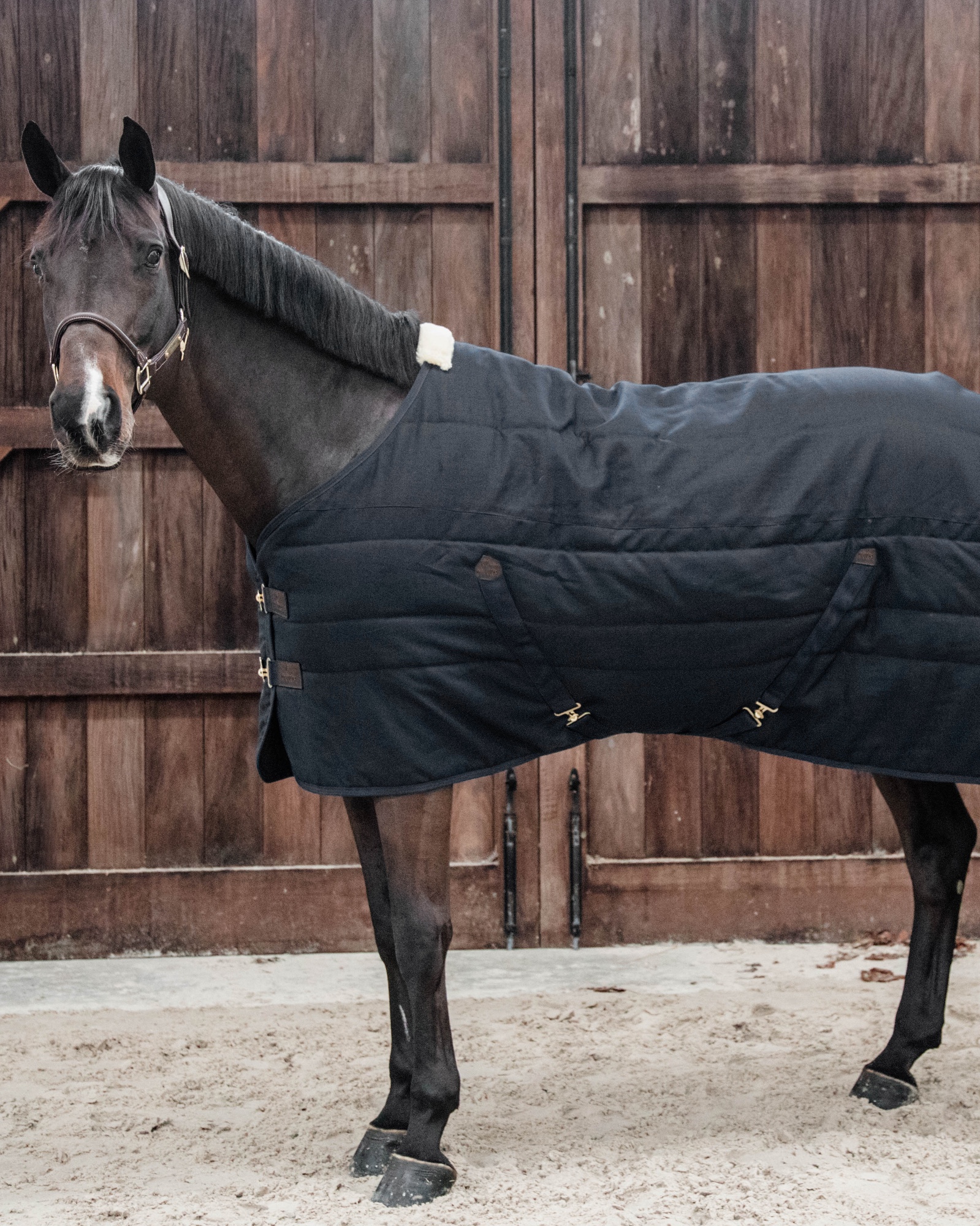 Classic 300g stable rug