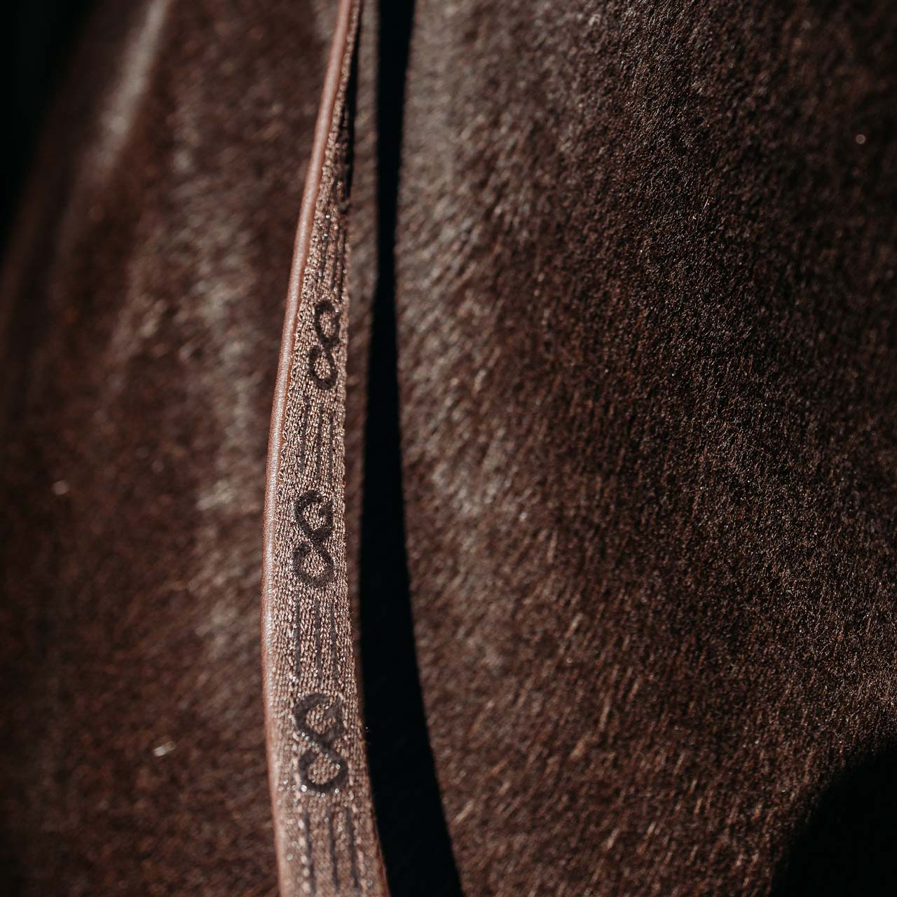 Reins FayRein port with clip