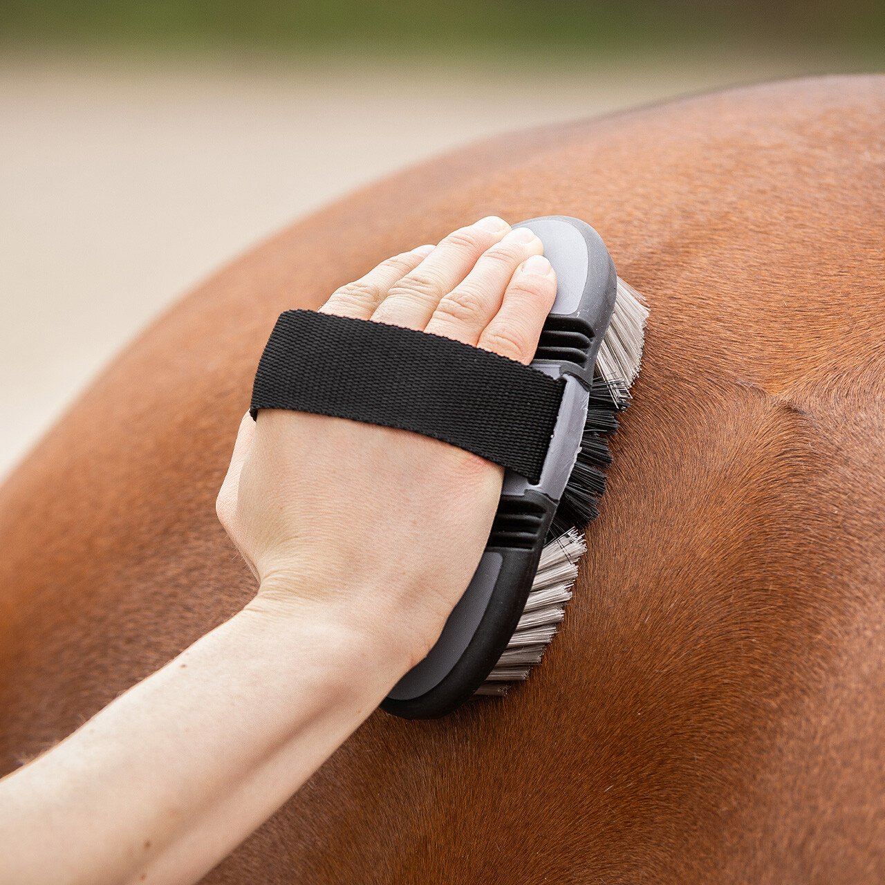 Kardätsche Flexible