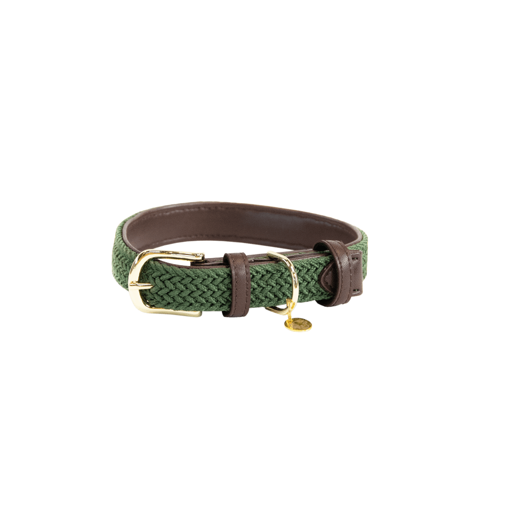 Collier de chien tressé en nylon
