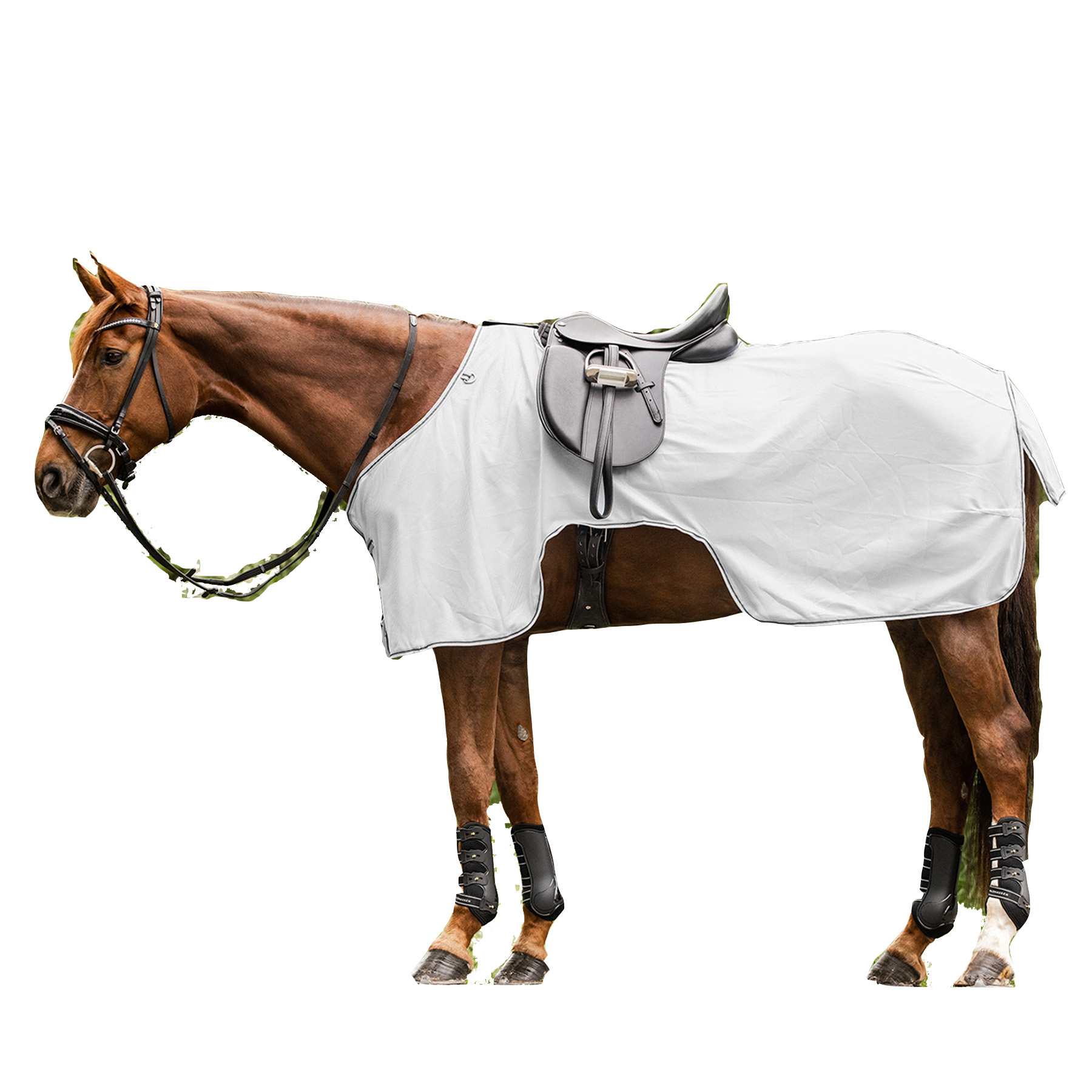 Fliegenausreitdecke Protec