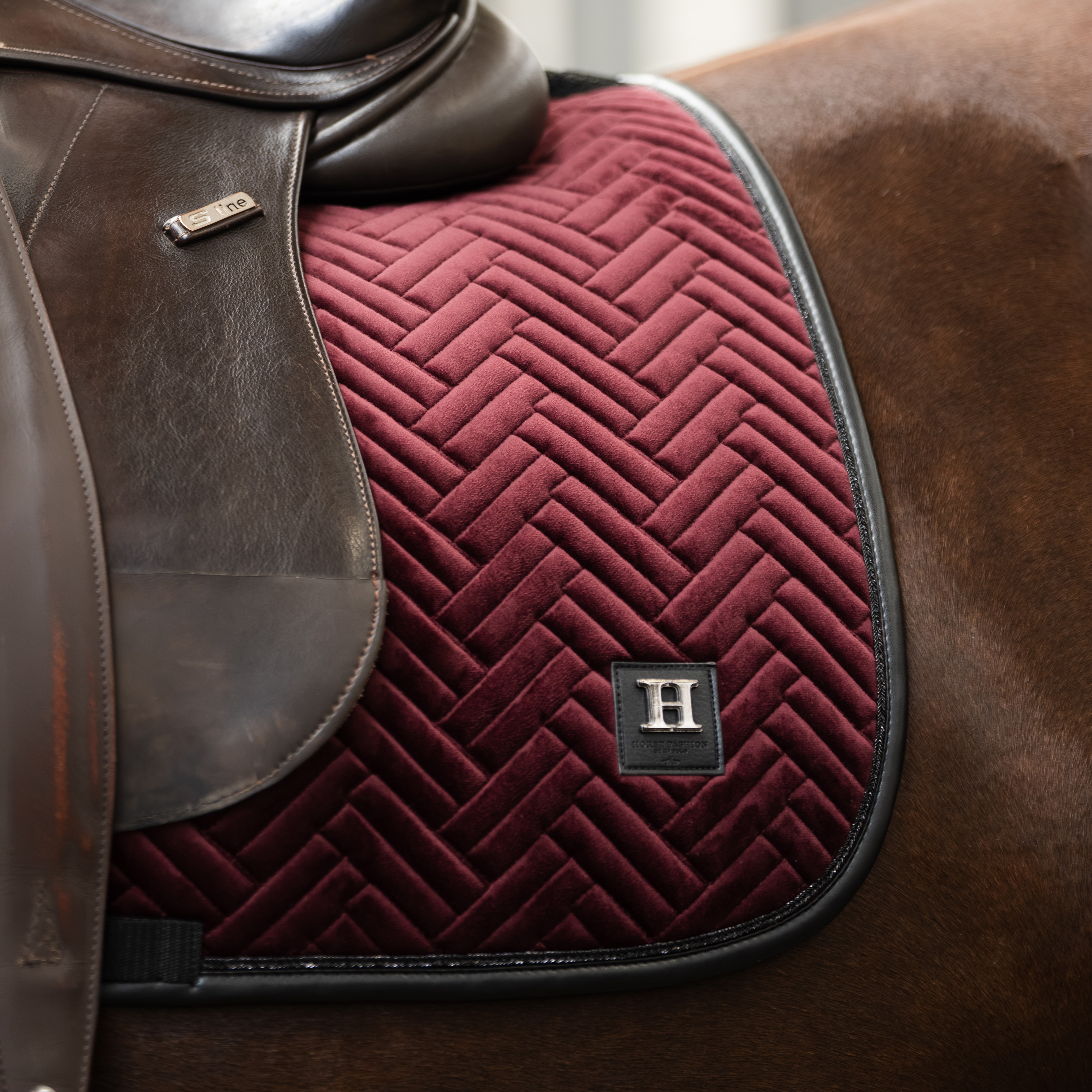 Schabracke Luxury GP