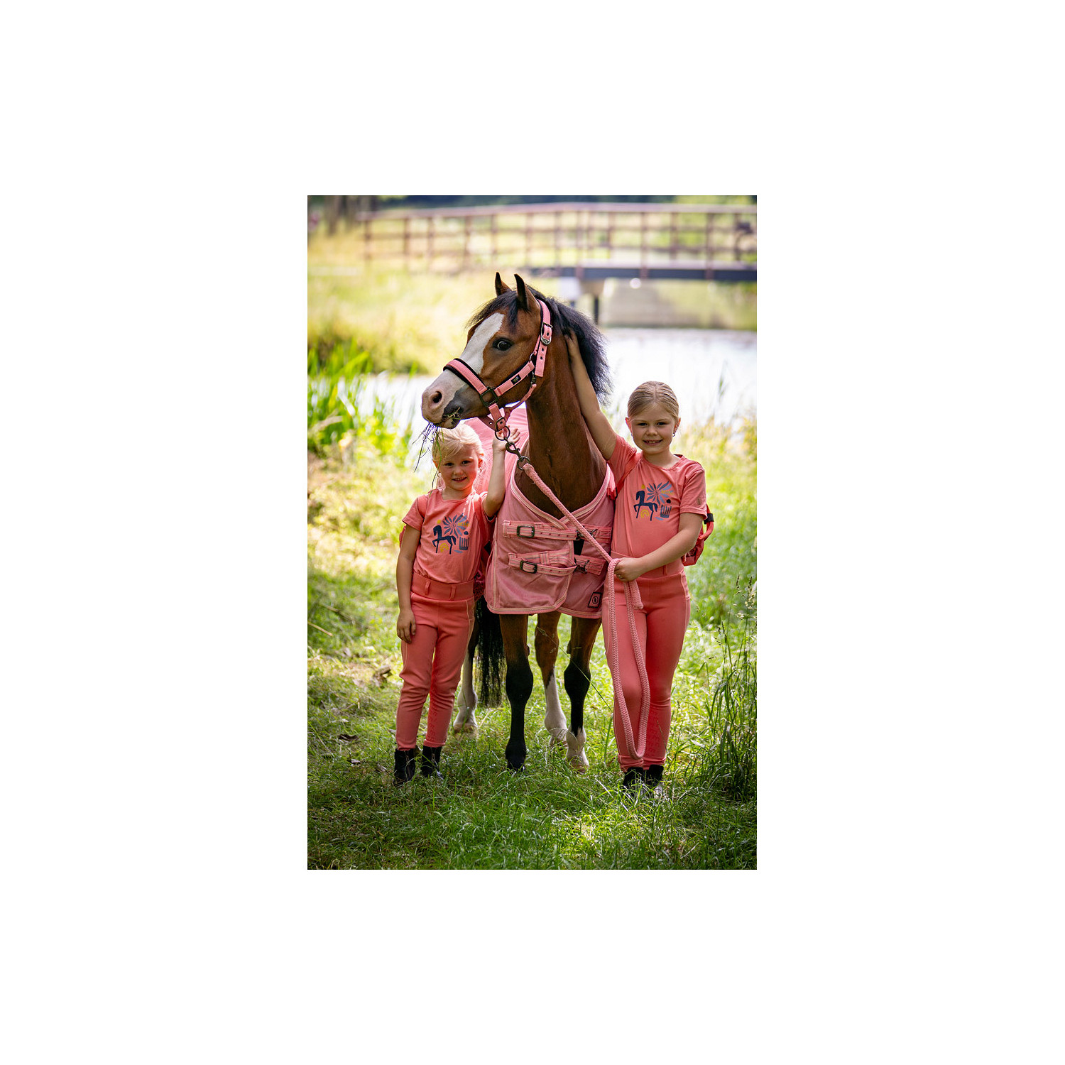 Mini Horse Halfter mit Anbindestrick