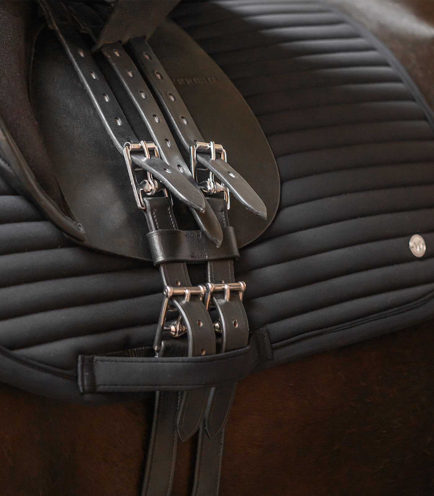 Rallonge de sangle de selle, noir