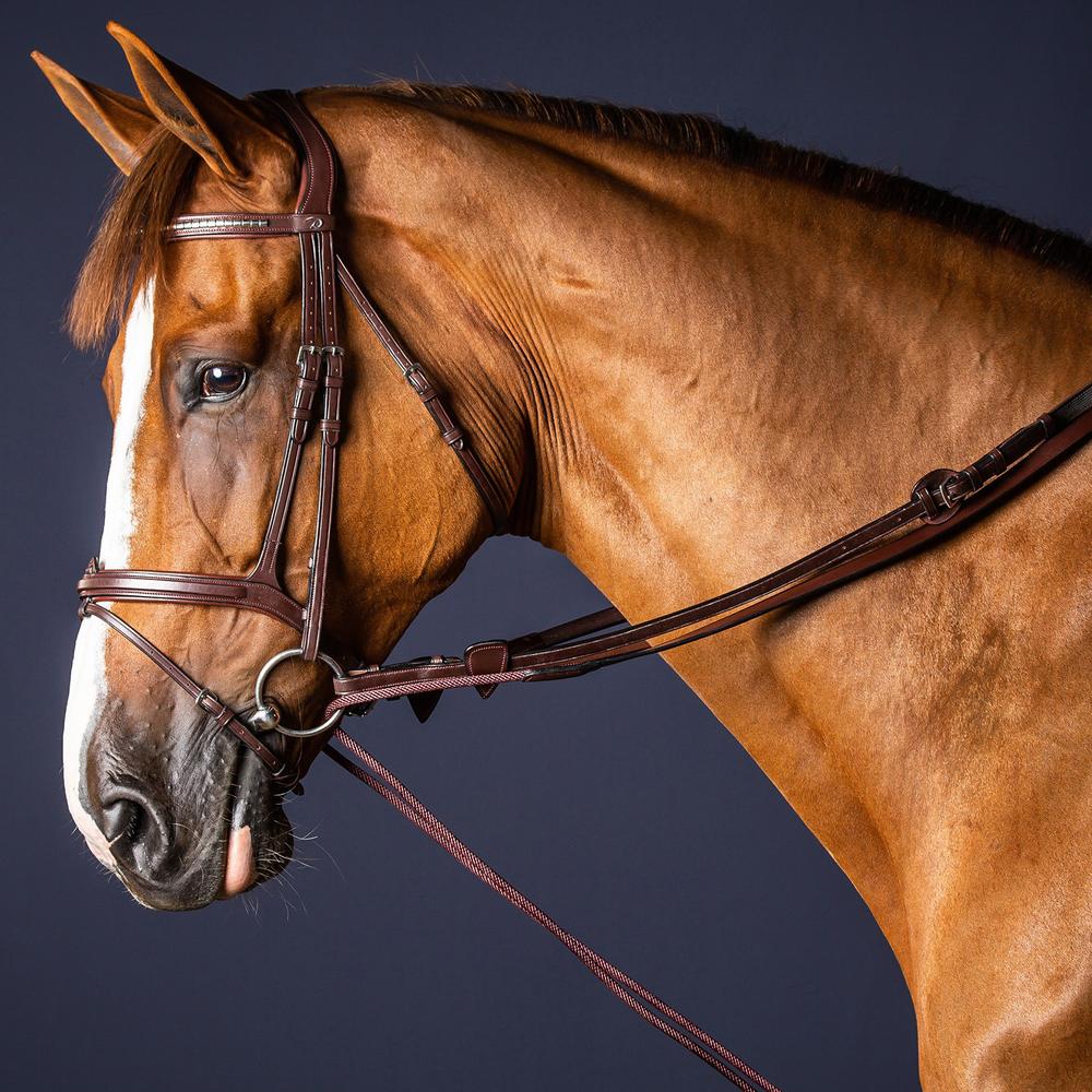Ausbindezügel Leder/Nylon 5/8"