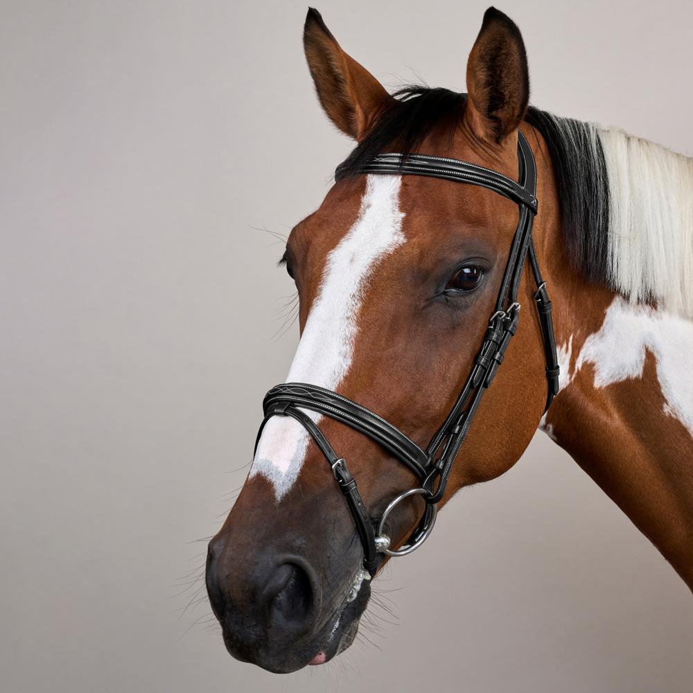 Trense mit kombiniertem Reithalfter US