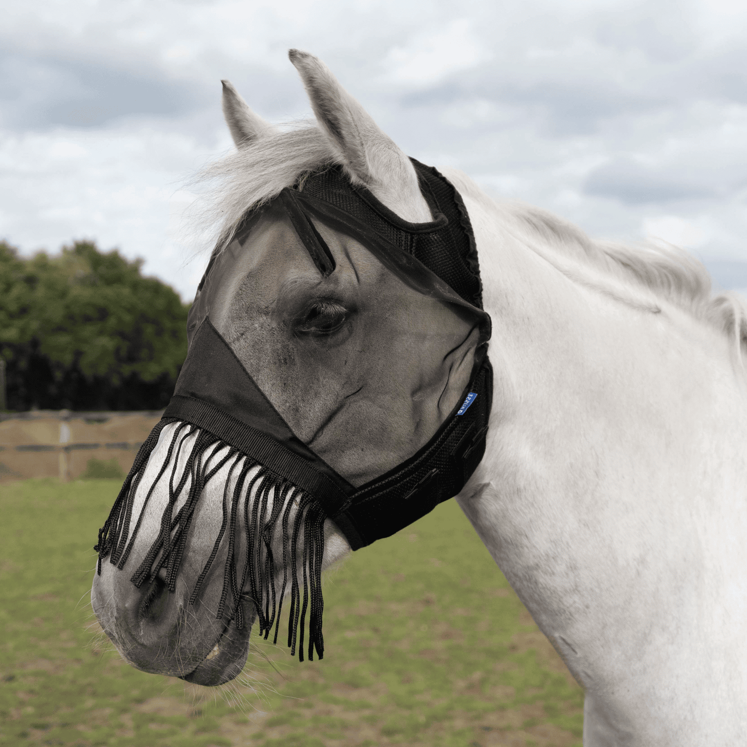 Fliegenmaske Fly Cover Fransen Gap