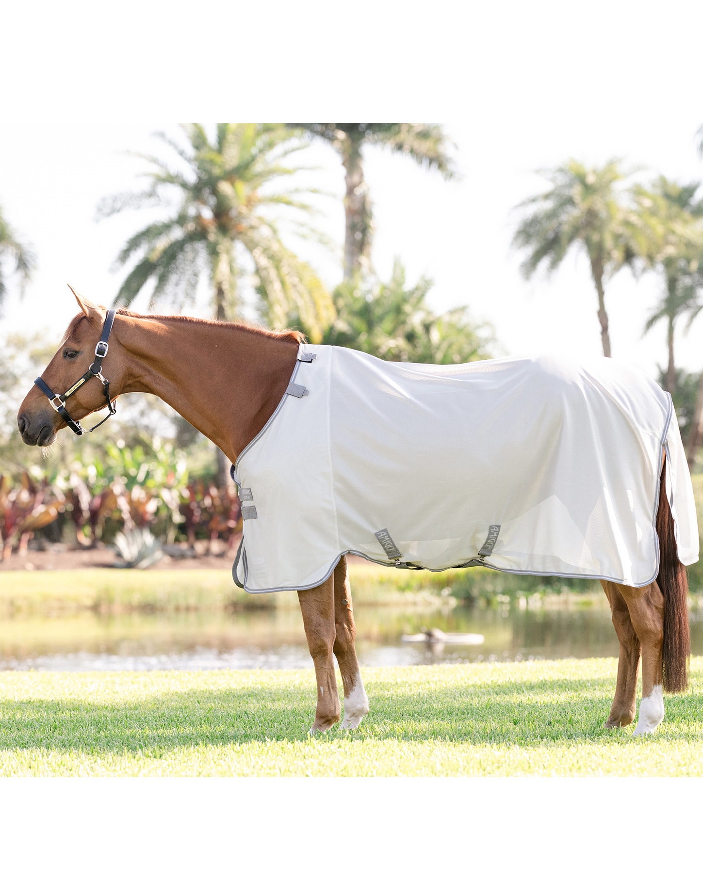 Fliegendecke Amigo Bug Buster