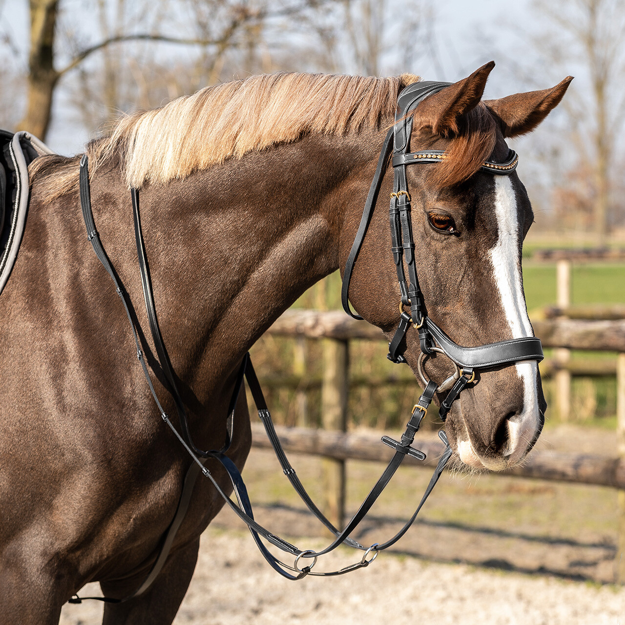 Martingal Basic Pro