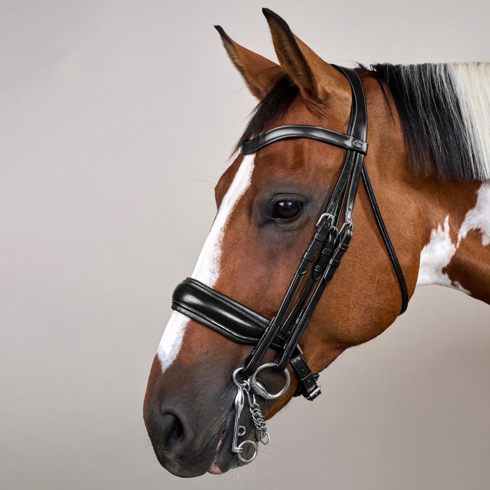 Kandare mit breitem schwedischem Reithalfter