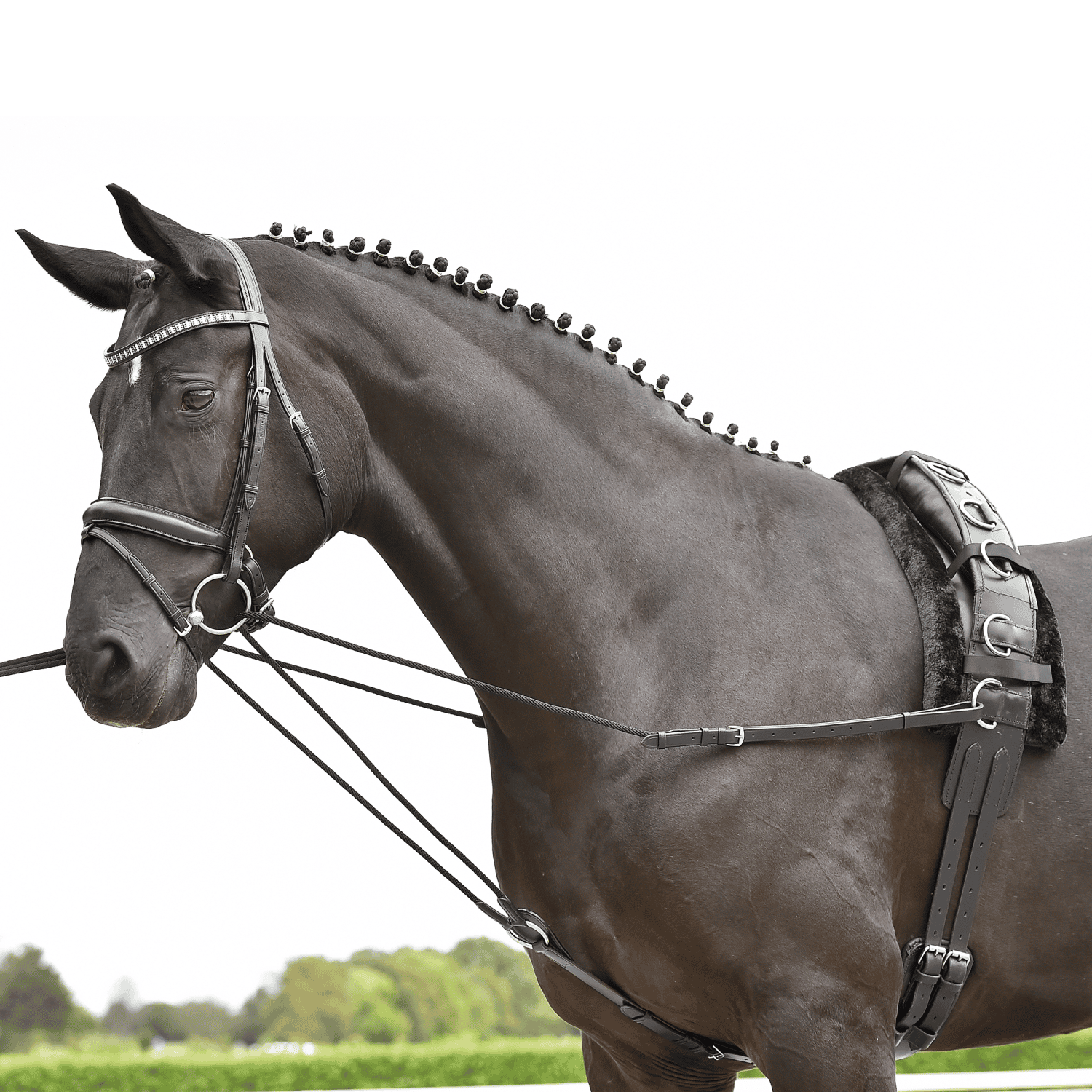 Triangular reins Basic cord