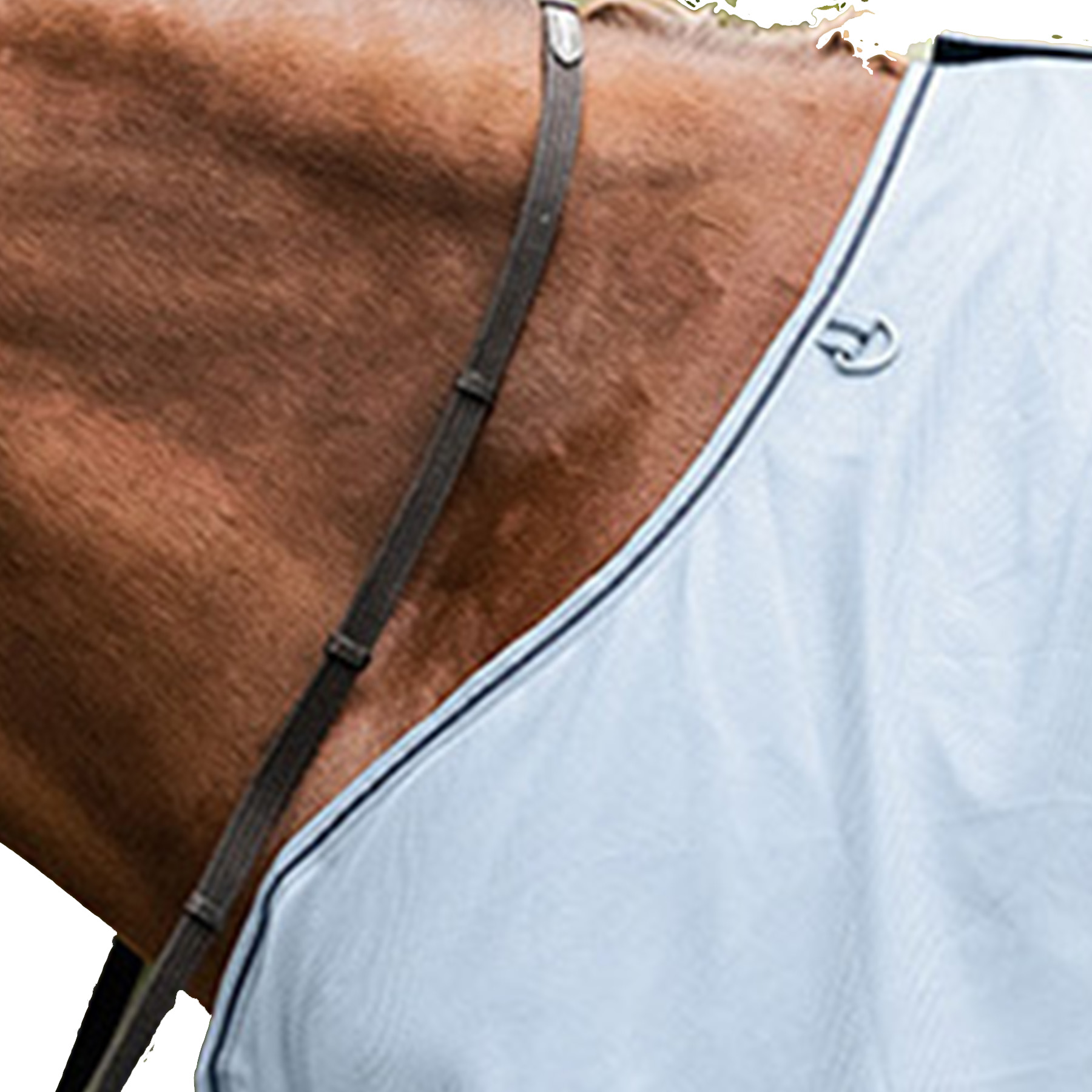 Fliegenausreitdecke Protec