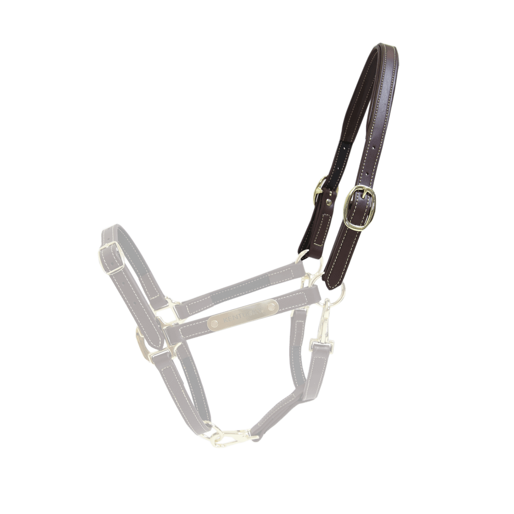 Leder Halfter Flexibel Genickstück