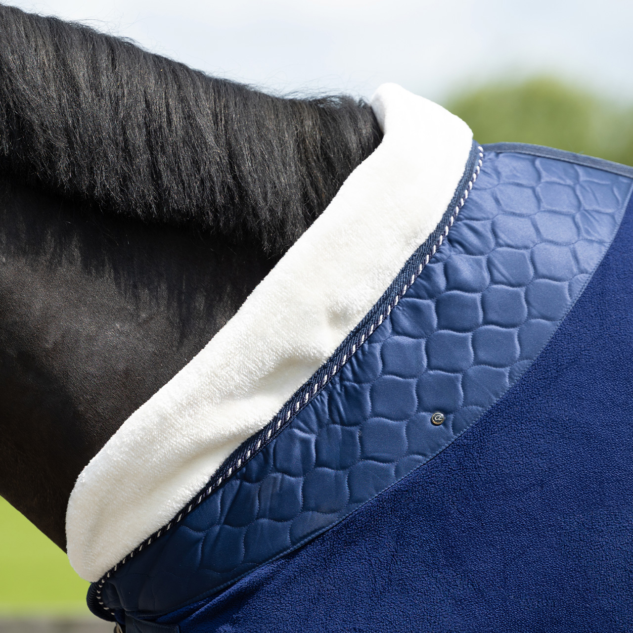 Brilliance sweat rug
