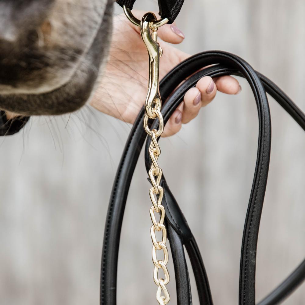 Führleine Leder Mit Kette