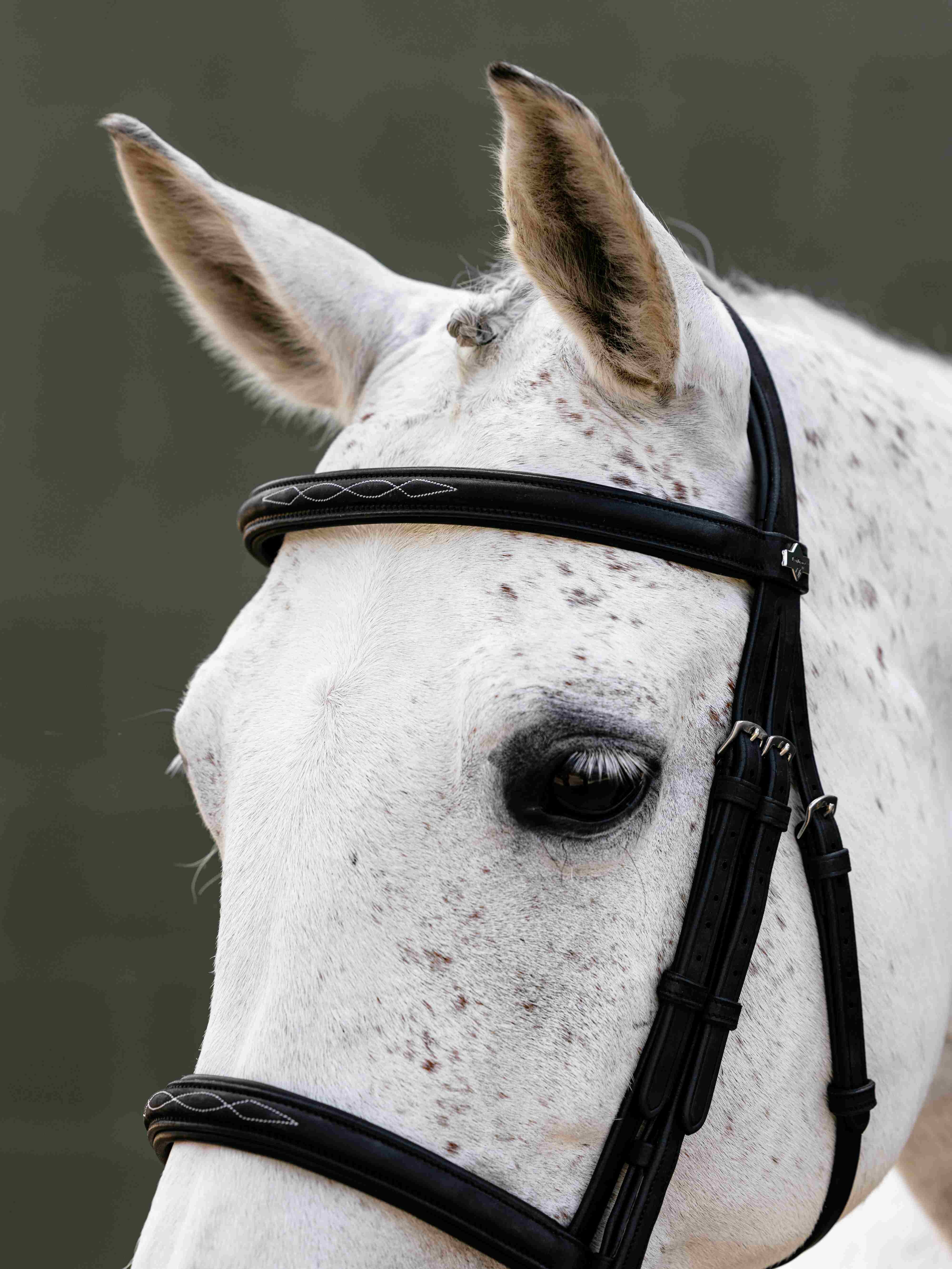 Arika Classique Cavesson Trense