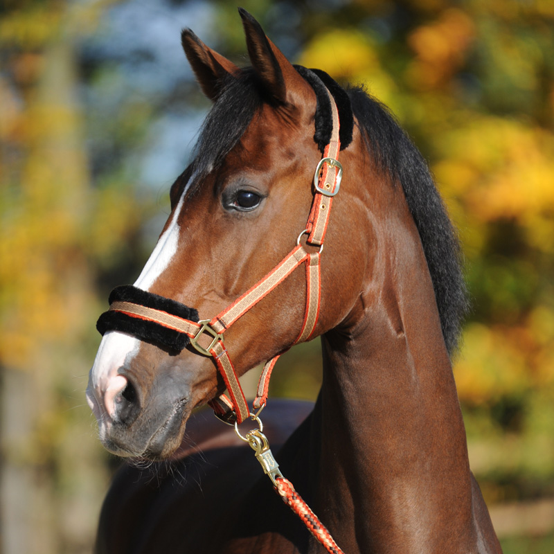 Halfter "Gretchen" - Kunstfell