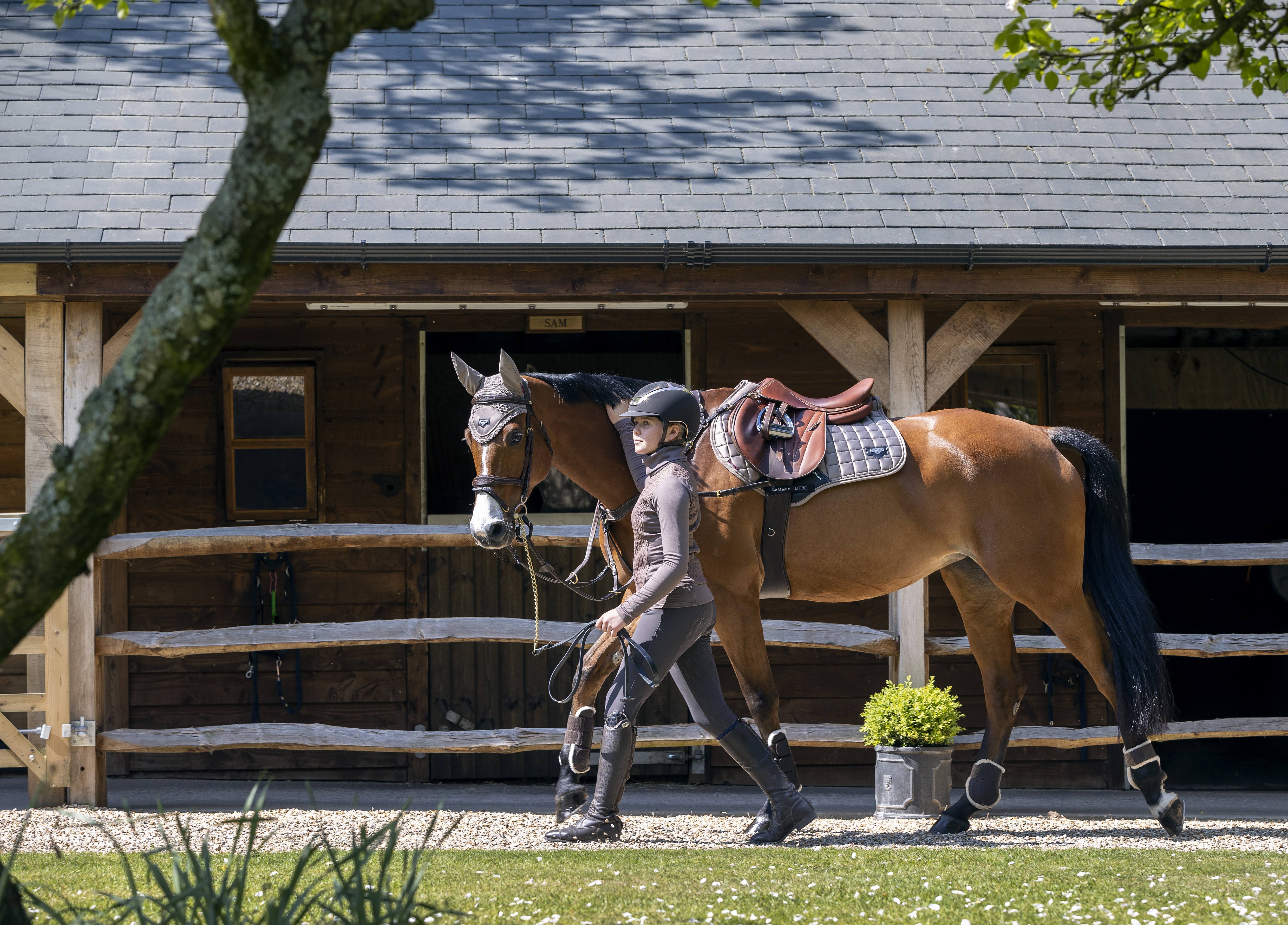 Jumping saddle pad Loire Classic Satin in Mink