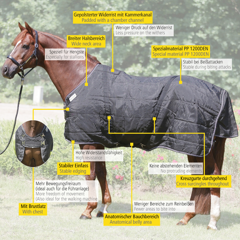 Couverture d'étalon "Stallion"-plastron 200g