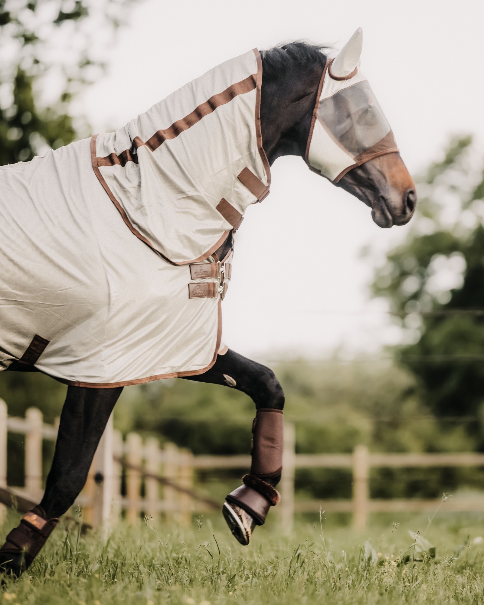 Mesh Classic fly rug