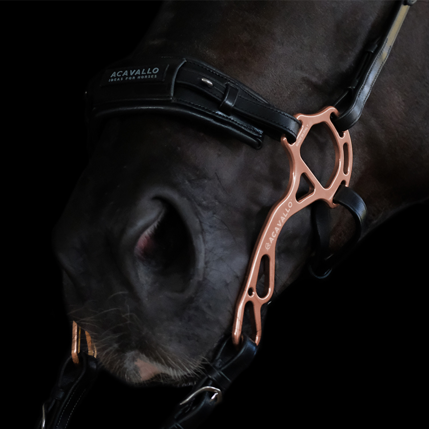 Hackamore Nasenriemen Kalbsleder