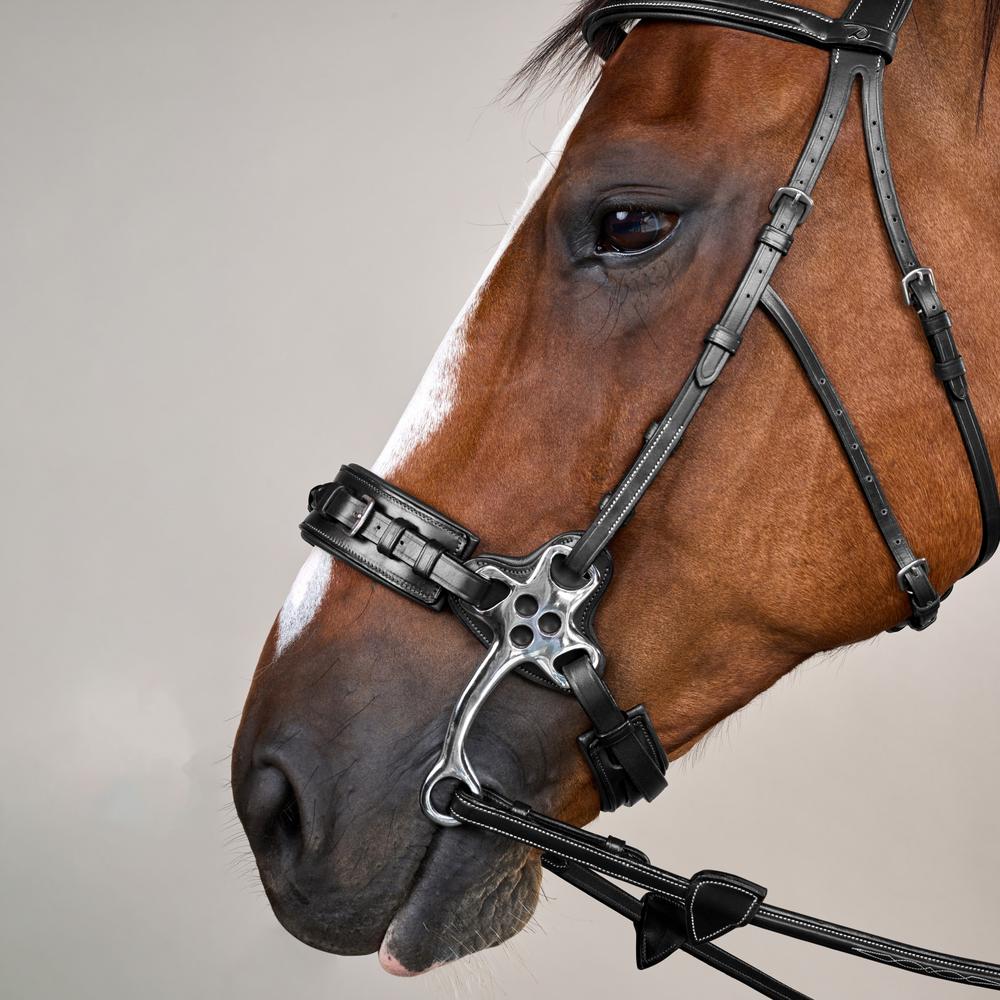 Hackamore-Zaum US