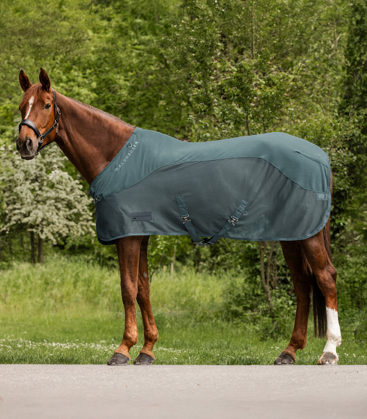 Fleece/fly rug Comfort