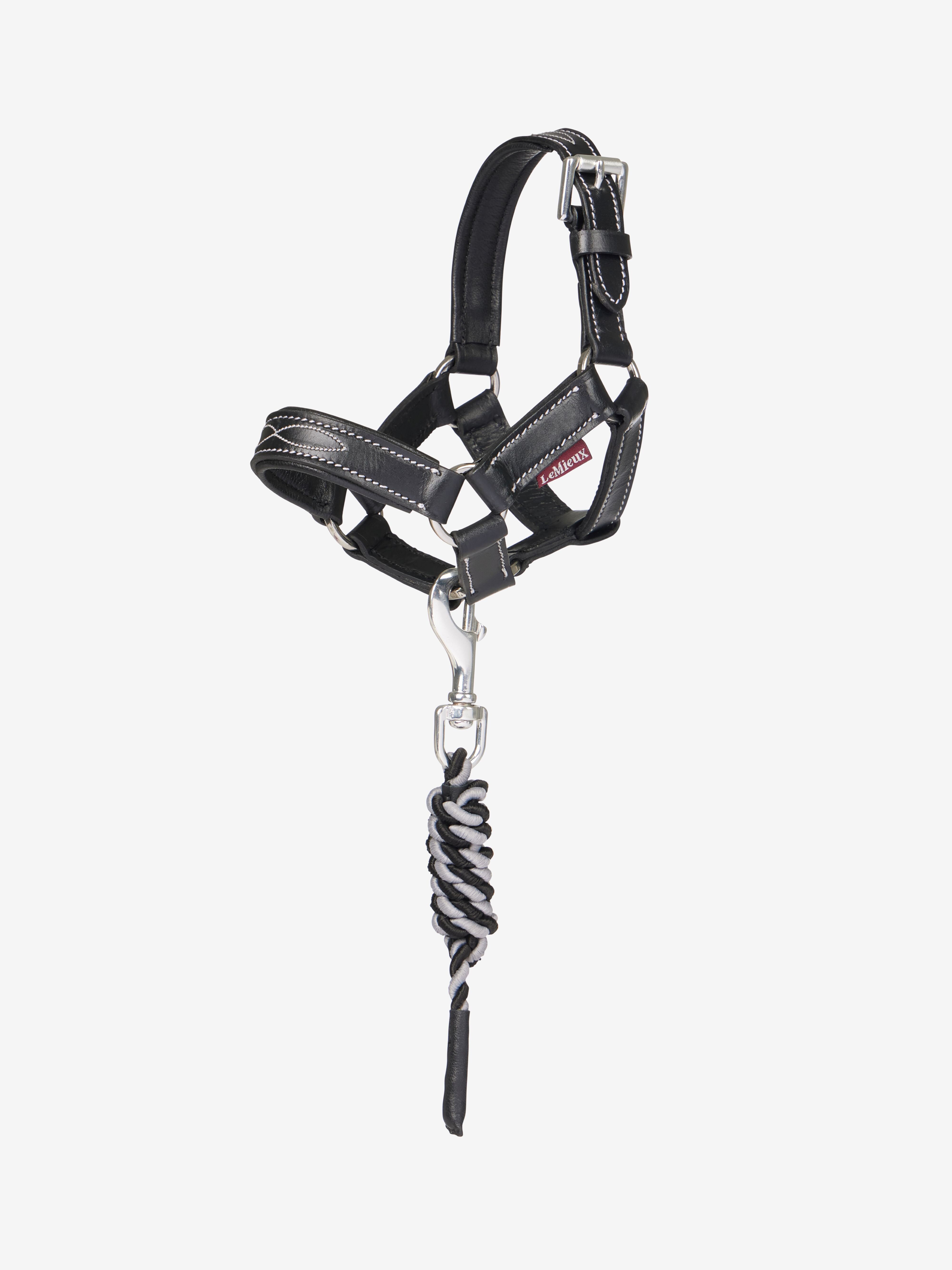 Toy Pony Leder halster & halstertouw zwart