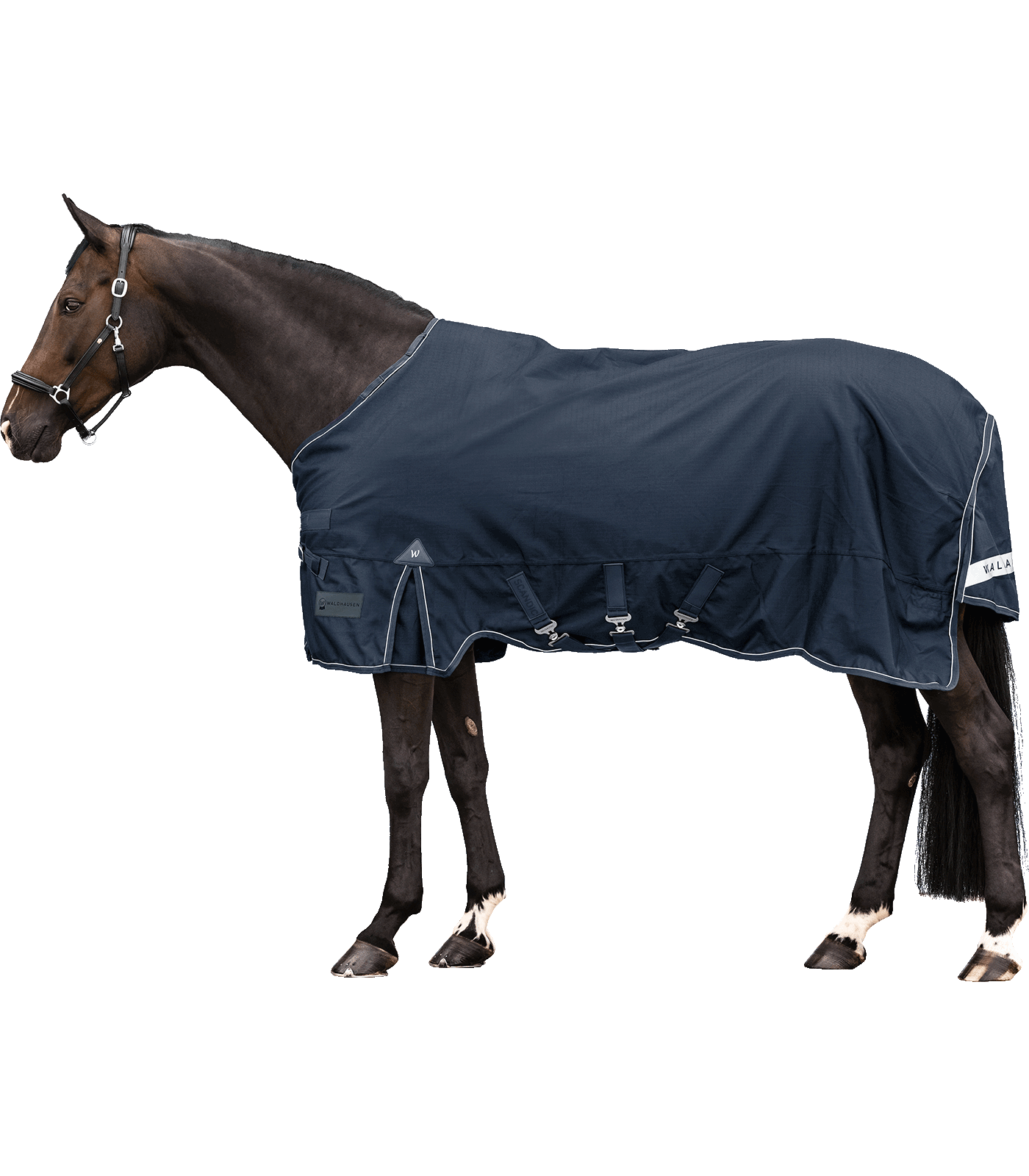 Outdoor blanket Scandic, 50g