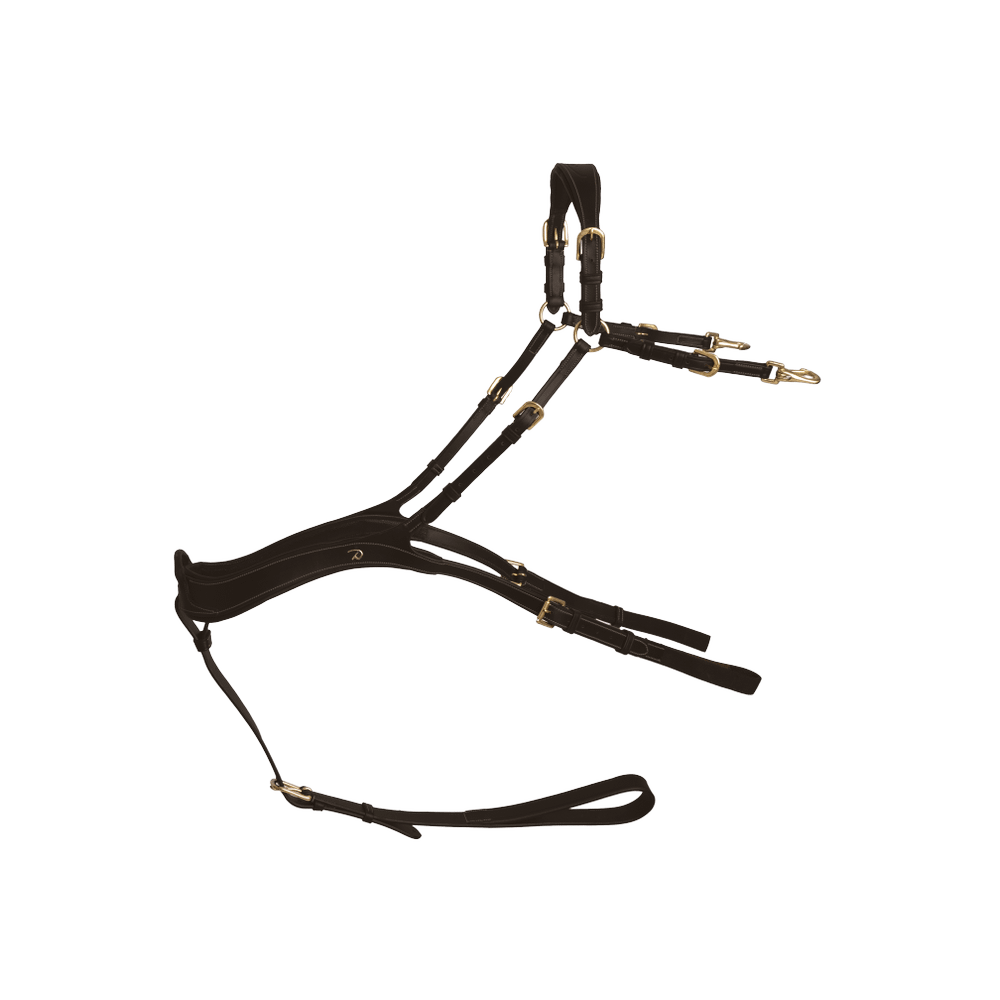 Anatomisches Vorderzeug | Dy'on