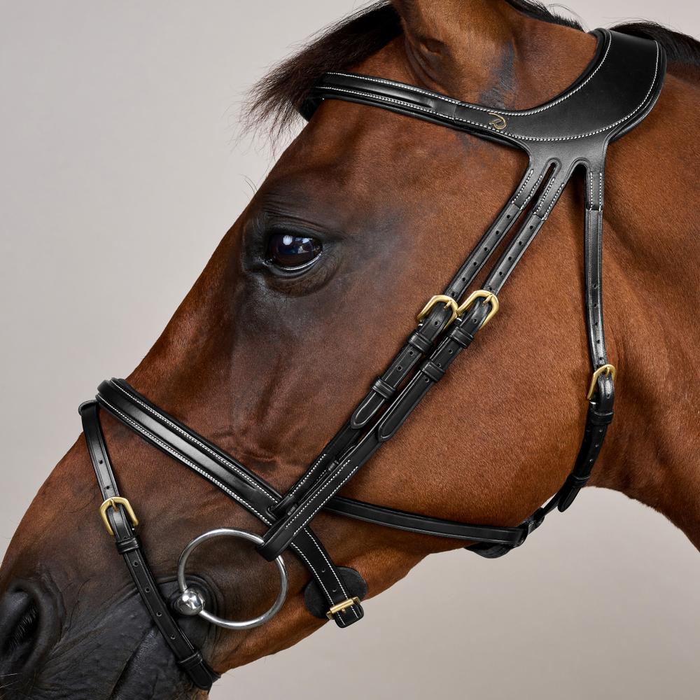 Difference Trense DY DY | Dy'on