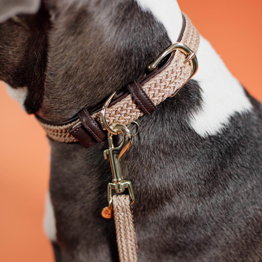 Hunde Leine Plaited Nylon 120 cm