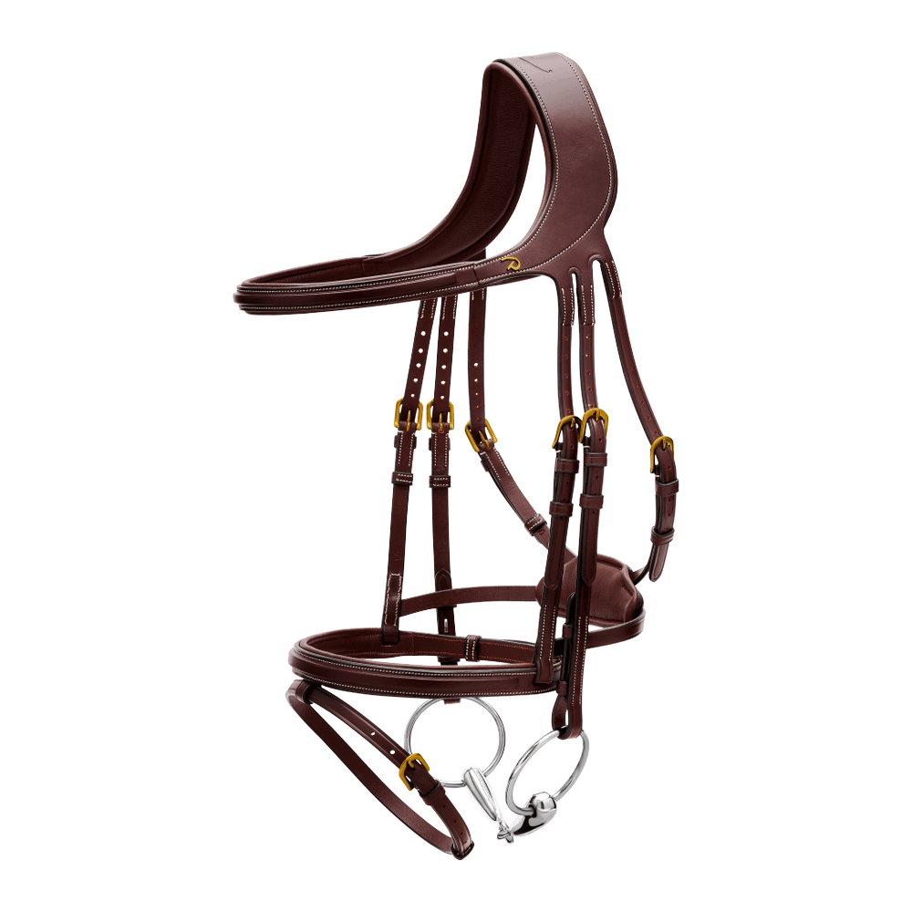 Difference Trense DY DY | Dy'on