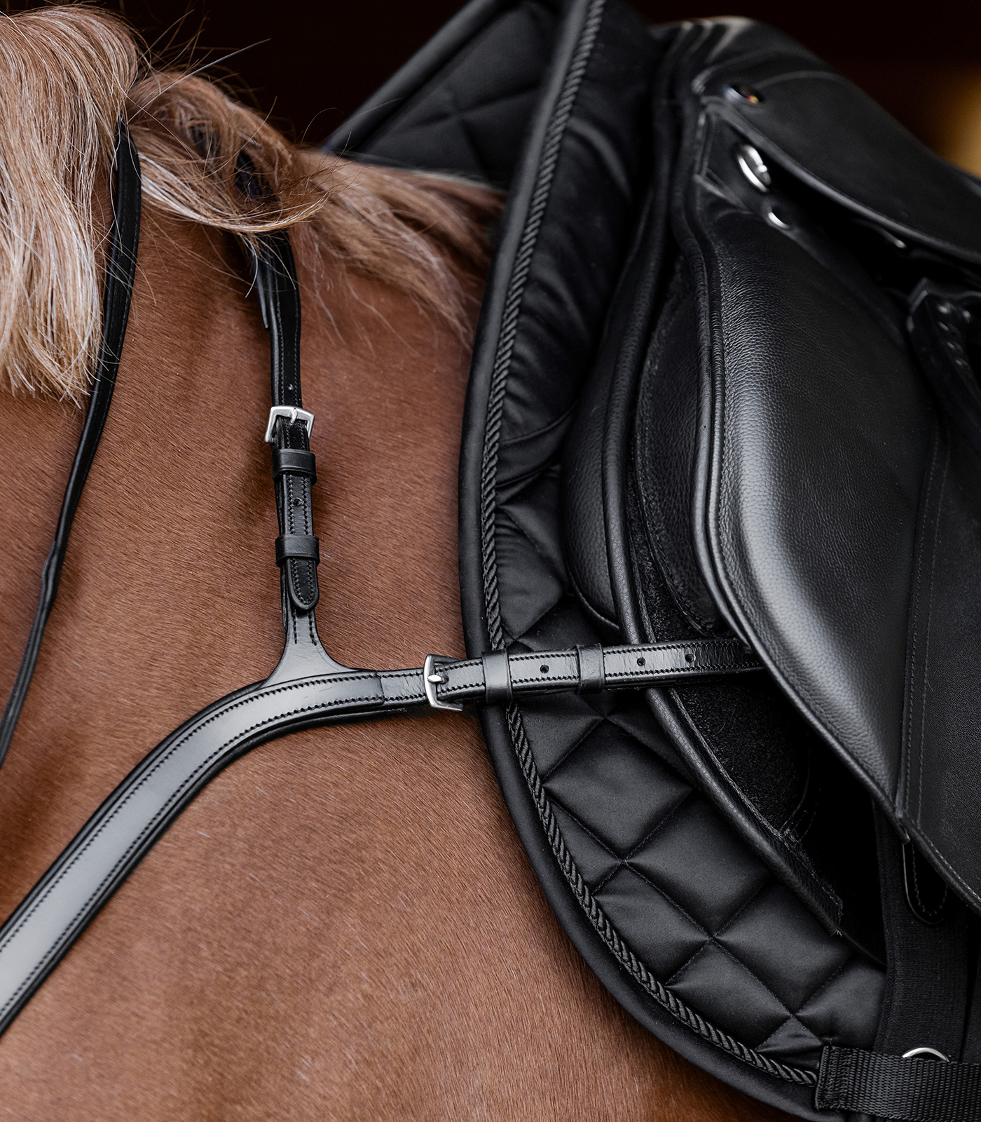 Waldhausen X-Line breastplate with long bridge