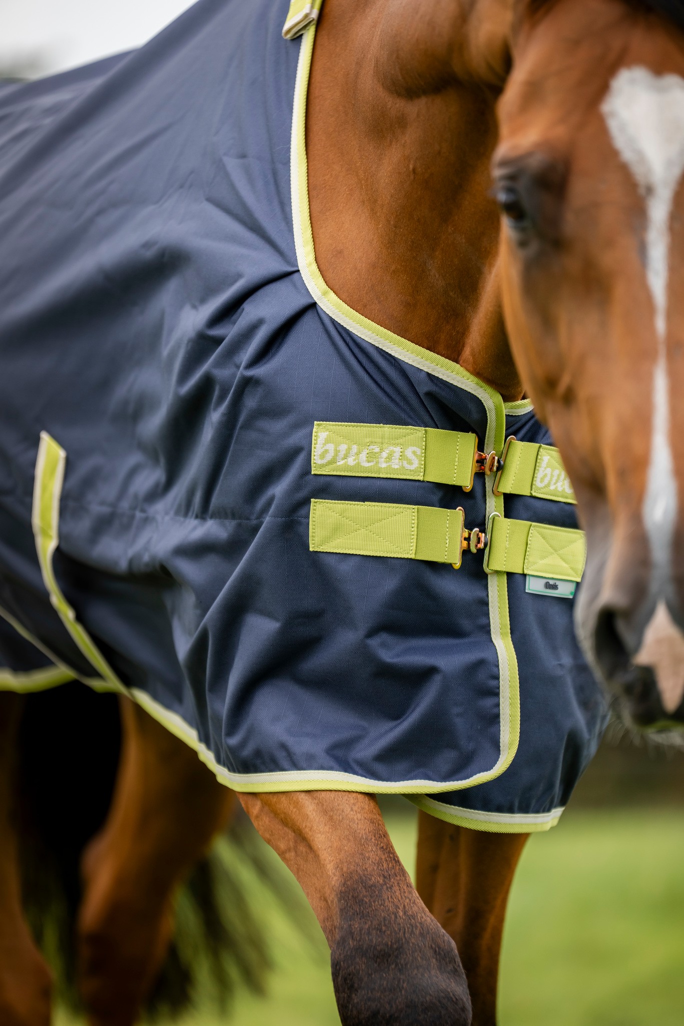 Outdoordecke Oasis Turnout 200 g mit Halsteil in Grey/lime